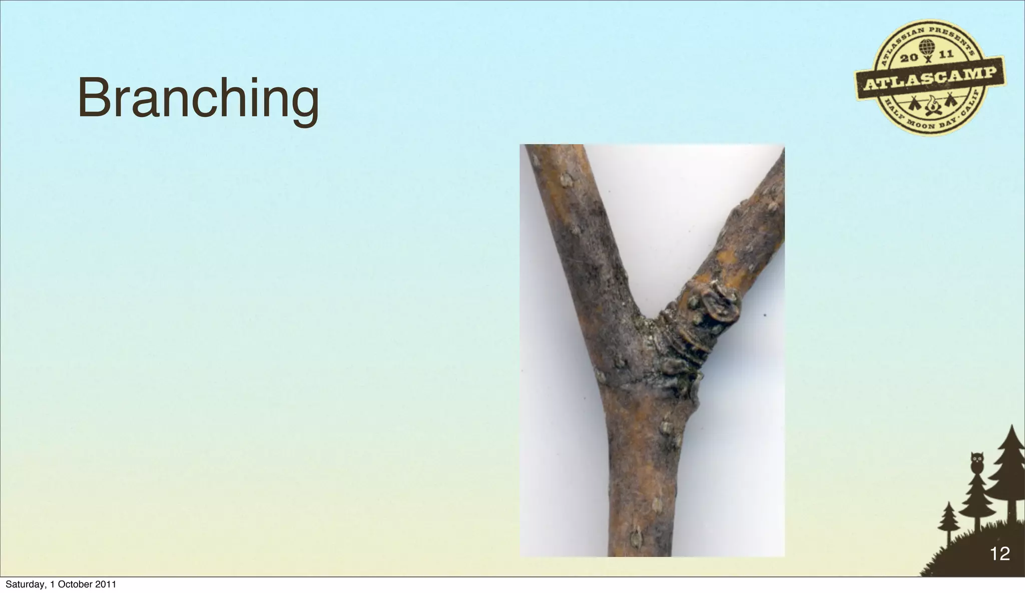 Branching




                           12
Saturday, 1 October 2011
 