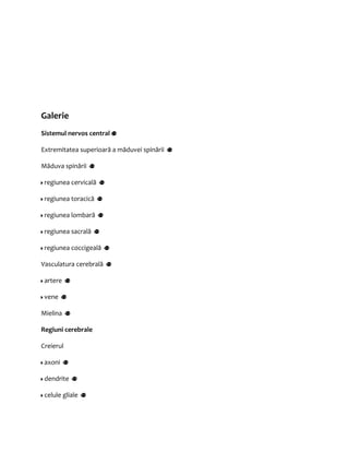 Galerie 
Sistemul nervos central 
Extremitatea superioară a măduvei spinării 
Măduva spinării 
regiunea cervicală 
regiunea toracică 
regiunea lombară 
regiunea sacrală 
regiunea coccigeală 
Vasculatura cerebrală 
artere 
vene 
Mielina 
Regiuni cerebrale 
Creierul 
axoni 
dendrite 
celule gliale 
 
