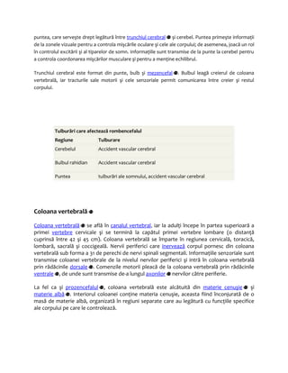 puntea, care serveşte drept legătură între trunchiul cerebral şi cerebel. Puntea primeşte informaţii 
de la zonele vizuale pentru a controla mişcările oculare şi cele ale corpului; de asemenea, joacă un rol 
în controlul excitării şi al tiparelor de somn. Informaţiile sunt transmise de la punte la cerebel pentru 
a controla coordonarea mişcărilor musculare şi pentru a menţine echilibrul. 
Trunchiul cerebral este format din punte, bulb şi mezencefal . Bulbul leagă creierul de coloana 
vertebrală, iar tracturile sale motorii şi cele senzoriale permit comunicarea între creier şi restul 
corpului. 
Tulburări care afectează rombencefalul 
Regiune Tulburare 
Cerebelul Accident vascular cerebral 
Bulbul rahidian Accident vascular cerebral 
Puntea tulburări ale somnului, accident vascular cerebral 
Coloana vertebrală 
Coloana vertebrală se află în canalul vertebral, iar la adulţi începe în partea superioară a 
primei vertebre cervicale şi se termină la capătul primei vertebre lombare (o distanţă 
cuprinsă între 42 şi 45 cm). Coloana vertebrală se împarte în regiunea cervicală, toracică, 
lombară, sacrală şi coccigeală. Nervii periferici care inervează corpul pornesc din coloana 
vertebrală sub forma a 31 de perechi de nervi spinali segmentali. Informaţiile senzoriale sunt 
transmise coloanei vertebrale de la nivelul nervilor periferici şi intră în coloana vertebrală 
prin rădăcinile dorsale . Comenzile motorii pleacă de la coloana vertebrală prin rădăcinile 
ventrale , de unde sunt transmise de-a lungul axonilor nervilor către periferie. 
La fel ca şi prozencefalul , coloana vertebrală este alcătuită din materie cenuşie şi 
materie albă . Interiorul coloanei conţine materia cenuşie, aceasta fiind înconjurată de o 
masă de materie albă, organizată în regiuni separate care au legătură cu funcţiile specifice 
ale corpului pe care le controlează. 
 