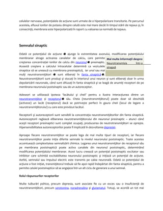 celulelor nervoase, potenţialele de acţiune sunt urmate de o hiperpolarizare tranzitorie. Pe parcursul 
acesteia, efluxul ionilor de potasiu dinspre celulă este mai mare decât în timpul stării de repaus şi, în 
consecinţă, membrana este hiperpolarizată în raport cu valoarea sa normală de repaus. 
Semnalul sinaptic 
Odată ce potenţialul de acţiune ajunge la extremitatea axonului, modificarea potenţialului 
membranar atrage activarea canalelor de calciu, care permite 
Mai multe informaţii despre: 
creşterea concentraţiei ionilor de calciu din neuronul presinaptic. 
Neurotransmisia într-o 
Această creştere a calciului intracelular determină ca veziculele 
sinapsă 
sinaptice să se unească cu membrana presinaptică, iar unul sau mai 
mulţi neurotransmiţători sunt eliberaţi în fanta sinaptică . 
Neurotransmiţătorii sunt produşi şi stocaţi în interiorul unui neuron şi sunt eliberaţi doar în urma 
depolarizării neuronale, când sunt difuzaţi în fanta sinaptică şi se leagă de anumiţi receptori de pe 
membrana neuronului postsinaptic sau de un autoreceptor. 
Adeseori se utilizează ipoteza ‘lacătului şi cheii’ pentru a ilustra interacţiunea dintre un 
neurotransmiţător şi receptorul său. Cheia (neurotransmiţătorul) poate doar să deschidă 
(activeze) un lacăt (receptorul) dacă se potriveşte perfect în gaura cheii (locul de legare a 
neurotransmiţătorului) cu care este prevăzut lacătul. 
Receptorii şi autoreceptorii sunt sensibili la concentraţia neurotransmiţătorilor din fanta sinaptică. 
Autoreceptorii reglează eliberarea neurotransmiţătorului din neuronul presinaptic – atunci când 
aceşti receptori presinaptici sunt complet ocupaţi, producerea de neutrotransmiţători se opreşte. 
Hipersensibilitatea autoreceptorilor poate fi implicată în dezvoltarea depresiei. 
Aproape fiecare neurotransmiţător se poate lega de mai multe tipuri de receptori, iar fiecare 
neurotransmiţător poate iniţia diferite semnale la nivelul neuronului postsinaptic. Toate acestea 
accentuează complexitatea semnalizării chimice. Legarea unui neurotransmiţător de receptorul său 
pe membrana postsinaptică poate activa canalele din neuronul postsinaptic, determinând 
modificarea potenţialului membranar. Acest lucru creează un potenţial postsinaptic excitator sau 
inhibitor care schimbă excitabilitatea neuronului postsinaptic şi iniţiază un potenţial de acţiune. 
Astfel, semnalul sau impulsul electric este transmis pe calea neuronală. Odată ce potenţialul de 
acţiune a fost iniţiat, transmiţătorul trebuie să fie apoi rapid îndepărtat din fanta sinaptică, pentru a 
permite celulei postsinaptice să se angajeze într-un alt ciclu de generare a unui semnal. 
Rolul răspunsurilor receptorilor 
Multe tulburări psihice, precum depresia, sunt asociate fie cu un exces sau o insuficienţă de 
neurotransmiţători, precum serotonina, noradrenalina şi glutamatul. Totuşi, se acordă un tot mai 
 