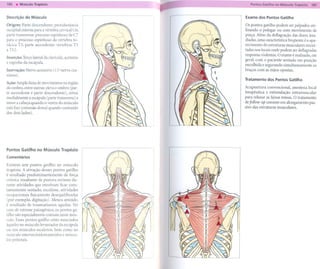 ~---
Descrição do Músculo                                    Exame dos Pontos Gatilho

Origem: Parte descendente: protuberância                Os pontos gatilho podem ser palpados uti-
occipital externa para a vértebra cervical C6;          lizando o polegar ou com movimento de
parte transversa: processo espinhoso de C7              pinça. Além da deflagração das dores irra-
para o processo espinhoso da vértebra to-               diadas, uma característica freqüente é o apa-
rácica T3; parte ascendente: vértebras T3               recimento de estruturas musculares encur-
a T12.                                                  tadas nos locais onde podem ser deflagradas
                                                        respostas violentas. O exame é realizado, em
Inserção: Terço lateral da clavícula, acrômio
                                                        geral, com o paciente sentado em posição
e espinha da escápula.
                                                        encolhida e segurando simultaneamente os
Inervação:       Nervo acessório (11" nervo cra-        braços com as mãos opostas.
niano).
                                                        Tratamento    dos Pontos      Gatilho
Ação: Ampla faixa de movimentos na região
do ombro, entre outras: eleva o ombro (par-             Acupuntura    convencional,    anestesia local
te ascendente e parte descendente), retrai              terapêutica  e estimulação intramuscular
medialmente a escápula (parte transversa) e             para relaxar as faixas tensas. O tratamento
move a cabeça quando o ventre do músculo                de follow-up consiste em alongamento     pas-
está fixo (extensão dorsal quando contraído             sivo das estruturas musculares.
dos dois lados).




Pontos Gatilho no Músculo Trapézio
Comentários

Existem sete pontos gatilho no músculo
trapézio. A ativação desses pontos gatilho
é resultado predominantemente         de força
crônica resultante de postura errônea du-
rante. atividades que envolvam ficar cons-
tantemente     sentado, escoliose, atividades
ocupacionais fisicamente desequilibradas
(por exemplo, digitação). Menos amiúde,
é resultado de traumatismos     agudos. No
caso de estresse psicogênico, os pontos ga-
tilho são especialmente comuns neste mús-
culo. Esses pontos gatilho estão associados
àqueles no músculo levantador da escápula
                                                   I1
ou nos músculos escalenos, bem como no             I

músculo esternocleidomastóideo     e múscu-
los peitorais.
 