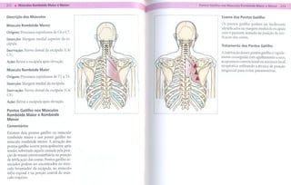 .
--
 212      . MúsculosRomb6ideMaiore Menor             --   -- --          --------
                                                                  Pontos Gatifho nos Músculos Rombóide Maior e Menor


     Descrição dos Músculos                                                     Exame dos Pontos     Gatilho

     Músculo Rombóide Menor                                                     Os pontos    gatilho podem     ser facilmente
                                                                                identificados na margem media! da escápula
     Origem: Processos espinhosos de C6 e C7.                                   com o paciente sentado na posição de reti-
                                                                                ficação das costas.
     Inserção: Margem medial superior da es-
     cápula.                                                                    Tratamento    dos Pontos     Gatilho
     Inervação: Nervo dorsa! da escápula (C4/
     C5).                                                                       A inativação desses pontos gatilho é rapida-
                                                                                mente conseguida com agulhamento a seco,
     Ação: Retrai a escápula após elevação.                                     acupuntura convencional ou anestesia local
                                                                                terapêutica utilizando a técnica de punção
     Músculo Rombóide Maior                                                     tangencial para evitar pneumotórax.
     Origem: Processos espinhosos de T1 a T4.
     Inserção: Margem medial da escápula.
     Inervação: Nervo dorsal da escápula (C4/
     C5).
     Ação: Retrai a escápula após elevação.

     Pontos Gatilho nos Músculos
     Rombóide Maior e Rombóide
     Menor
     Comentários
     Existem dois pontos gatilho no músculo
     rombóide maior e um ponto gatilho no
     músculo rombóide menor. A ativação dos
     pontos gatilho ocorre principalmente após
     tensão, sobretudo aquela causada pela posi-
     ção de tensão esternossinfisária na posição
     de retificação das costas. Pontos gatilho as-
     sociados podem ser encontrados no mús-
     culo levantador da escápula, no músculo
     infra-espina! e na porção central do mús-
     culo trapézio.
 