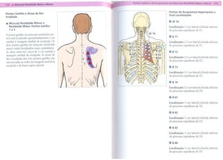 ---
---
  214   . Músculos Rombóide Maior e Menor       ----       ,t   Pon:.?s Gatilho";'de A(UPU~ra   noi MÚSCU~ Rom~ide       M~r   e M:nor    215 J


  Pontos Gatilho e Áreas de Dor                                                                 Pontos de Acupuntura Importantes e
  Irradiada                                                                                     Suas Localizações

                                                                                                .ID14
  ... Músculo Rombóide Menor e
      Rombóide Maior, Pontos Gatilho                                                            Localização: 3 cun lateral à borda inferior
      1a3                                                                                       do processo espinhoso de TI.
                                                 .....
  o ponto gatilho no músculo rombóide me-        l
                                                 l                                              . B11
  nor está localizado aproximadamente 3 cm       l
                                                 
  medial à margem medial da escápula. Os         l                                              Localização: 1,5 cun lateral à borda inferior
  dois pontos gatilho do músculo rombóide        -v-                                            do processo espinhoso de TI.
  maior estão localizados mais caudalmen-
                                                  l
                                                  l
  te, mais uma vez, cerca de 3 cm medial à        11
                                                                                                . B12
  margem medial da escápula. A5 áreas de          1
  dor irradiada dos três pontos gatilho são
  encontradas ao redor da margem medial da
                                                  12   ~                                        Localização: 1,5 cun lateral à borda inferior
                                                                                                do processo espinhoso de T2.
                                                 I 3 :,
  escápula e da fossa supra-espinal.                                                           . B13
                                                  1
                                                  L                                             Localização: 1,5 cun lateral à borda inferior
                                                 l
                                                                                                do processo espinhoso de D.

                                                                                                . B14
                                              10/t ~                                           Localização: 1,5 cun lateral à borda inferior
                                                                                                do processo espinhoso de T4.

                                                                                                . B41
                                                                                                Localização: 3 cun lateral à borda inferior
                                                                                                do processo espinhoso de T2.

                                                                                                . B42
                                                                                                Localização: 3 cun lateral à borda inferior
                                                                                                do processo espinhoso de D.

                                                                                                . B43
                                                                                                Localização: 3 cun lateral à borda inferior
                                                                                                do processo espinhoso de T4.

                                                                                                . B44
                                                                                                Localização: 3 cun lateral à borda inferior
                                                                                                do processo espinhoso de T5.
 