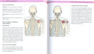 ~----    - --
Descrição do Músculo
                                                     Tratamento    dos Pontos Gatilho
Origem: Fossa supra-espinal   da escápula.
                                                     A inativação dos pontos gatilho é, em geral,
Inserção: Borda superior do tubérculo maior          obtida sem qualquer problema por meio de
do úmero, estendendo-se para a cápsula ar-           acupuntura, anestesia local terapêutica ou
ticular (músculo do manguito rotador).               método de agulhamento a seco. Quando a
Inervação:   Nervo supra-escapular    (C4 a          anestesia é injetada no ponto gatilho do ten-
C6).                                                 dão supra-espinhoso    devem-se seguir con-
                                                     dições meticulosamente     estéreis por cau-
Ação: Abdução do úmero; comprime a cáp-              sa da proximidade     com a articulação. O
sula articular.
                                                     músculo é estirado por meio de adução e
                                                     rotação máxima do braço para dentro, en-
Pontos Gatilho no Músculo                            quanto se roda simultaneamente       o braço
Supra-espinal                                        discretamente para trás.
Comentários

Existem trés pontos gatilho, dois dos quais
localizados no ventre do músculo e um na
região do tendão supra-espinhoso.    A ati-
vação dos pontos gatilho ocorre principal-
mente em situações de tensão aguda (por
exemplo, carregar cargas pesadas sem estar
acostumado a fazê-lo), mas também em sin-
dromes de sobrecarga crônica. Os pontos
gatilho estão, em geral, associados àqueles
no músculo trapézio, músculo infra-espinal
e músculo latíssimo do dorso.

Exame dos Pontos Gatilho

Com o paciente sentado, os pontos gati-
lho são diretamente palpados no ventre do
músculo e próximo à inserção, deflagrando
uma dor referida típica.
 