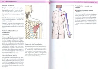 -                      --
                           -----                                                               --------
Descrição do Músculo                                                                                      Pontos Gatilhoe Áreasde Dor
                                                                                                          Irradiada
Origem: Fossa infra-espinal    da escápula.

Inserção: Terço médio e inferior do tubér-                                                                '" Músculo Infra-espinal.
                                                                                                                                 Pontos
culo maior do úmero, cápsula articular.                                                                      Gatilho e 2
                                                                                                                    1
Inervação: Nervo supra-escapular (C4 a                                                                    Essespontos   gatilho estão localizados   na
C6).                                                                                                      porção medial do músculo, aproximada-
AçãO: Realiza movimento de rotação para                                                                   mente 2 cun abaixo da espinha escapular.
fora do braço; parte superior: abdução, par-                                                              Existem áreas de dor irradiada sobre a por-
                                                                                                          ção dorsal, bem como ventral do músculo
te inferior: adução.
                                                                                                          deltóide irradiando para as porções dorsal
Outros: O músculo infra-espinal pertence                                                                  e ventral do braço e do antebraço no lado
aos músculos do manguito rotador porque                                                                   radial.
se estende para a cápsula da articulação do
ombro.

Pontos Gatilho no Músculo                                                                      )
Infra-espinal
Comentários

Dois pontos gatilho são predominantes; um
terceiro ponto gatilho aparece de forma va-
riável na margem medial ao nível da por-
ção média da fossa infra -espinal. Os pontos
gatilho são ativados por esportes praticados
                                                 Tratamento dos Pontos Gatilho
por um indivíduo que não está acostumado
a fazê-Ios (por exemplo, jogar tênis exces-      Agulhamento direcionado dos pontos ga-
sivamente). O diagnóstico diferencial deve       tilho e resolução do encurtamento muscu-
considerar distúrbios estruturais da articu-
                                                 lar pelo método com agulhamento a seco.
1ação do ombro, rigidez do ombro e afecção       Anestesia local terapêutica também é pos-
das raízes nervosas CS, C6 e C7.                 sível. Depois disso, realiza-se alongamento
                                                 passivo dos músculos por meio de retrover-
Exame dos Pontos Gatilho
                                                 são e rotação interna do braço.
A estimulação é obtida por meio da abdu-
ção do braço e de sua rotação máxima para
dentro na articulação do ombro para estirar
o músculo infra-espinal. Quando os braços
estão relaxados, faixas tensas típicas são en-
contradas na direção caudal para a espinha
da escápula.
 