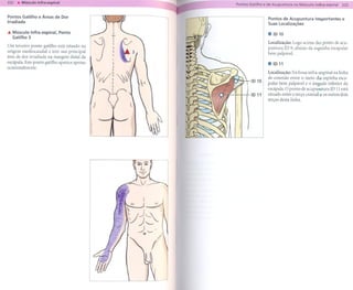 ---                       -----
                                                                       Pontos Gatilho e de Acupuntura no Músculo Infra-espinal

Pontos Gatilho e Áreas de Dor
                                                                                        Pontos de Acupuntura       Importantes     e
Irradiada
                                                  ~                                     Suas Localizações
                                                  l
                                                  ,
... Músculo   Infra-espinal.   Ponto              l
                                                                                        elD10
  Gatilho3
                                                       '
                                                        'V                              Localização: Logo acima do ponto de acu-
                                                  T
                                              J ~      ~
Um terceiro ponto gatilho está situado na
                                                                                        puntura ID 9, abaixo da espinha escapular
origem mediocaudal     e tem sua principal
área de dor irradiada na margem distal da
                                                  l    .
                                                  I' ...           3
                                                                                        bem palpável.
                                                          '
                                                               .
escápula. Este ponto gatilho aparece apenas        l               ,                    elD 11
ocasionalmente.                                   l
                                                  l
                                                                                        Localização: Na fossa infra-espinal na linha

                                              (0/~~
                                                  l
                                                  l
                                                                               ID 10    de conexão entre o meio da espinha esca-
                                                                                        pular bem palpável e o ângulo inferior da
                                                  l                                     escápula. O ponto de acupuntura     ID 11 está
                                                                               ID 11    situado entre o terço cranial e os outros dois
                                                                                        terços desta linha.
                                              J
 