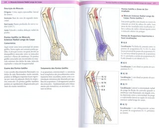 --   ---     - - -- --                     - -                  - -
226   . Músculo Extensor Radial longo do Carpo
                                                                                                   -       - -----
                                                                                                   Pontos Gatilho no Músculo Extensor Radial Longo do Carpa    227


Descrição do Músculo                                                                                                  Pontos Gatilho e Áreas de Dor
                                                                                                                      Irradiada
Origem: Crista supra-epicondilar lateral
do úmero.
                                                                                                                      Â Músculo Extensor Radial longo         do
Inserção: Base do osso do segundo meta-                                                                                 Carpo. Ponto Gatilho 1
carpo.
                                                                                                                     Este ponto gatilho está situado no ventre do
Inervação: Ramo profundo        do nervo raC                                                                         músculo ao nível da cabeça do rádio. Suas
dial (C6/C7).                                                                                                        áreas de dor irradiada estão localizadas so-
                                                                                                                     bre a cabeça do rádio e dorsal àquela sobre
Ação: Estende e realiza abdução radial do
                                                                                                                     o músculo adutor do polegar.
punho.

Pontos Gatilho no Músculo                                                                                            Pontos de Acupuntura Importantes e
                                                                                                                     Suas Localizações
Extensor Radial Longo do Carpo
Comentários                                                                                                          elG8

Aqui existe uma zona principal de ponto                                                                              Localização: Na linha de conexão entre os
gatilho. Nesta região são comuns pontos ga-                                                                          pontos de acupuntura      IG 5 e IG 11, dois
tilho. A ativação ocorre, em geral, devido ao                                                                        terços proximal do ponto de acupuntura IG
desequilíbrio muscular entre os músculos                                                                             5 e um terço distal ao ponto de acupuntura
extensor e flexor do antebraço. Os pontos                                                                            IG 11; portanto, o ponto de acupuntura IG
gatilho associados são encontrados no mús-                                                                           8 está situado 4 cun distal a IG 11.
culo extensor dos dedos da mão, músculo
                                                                                                                     elG9
supinador   e músculo braquiorradial.
                                                                                                                     Localização: 3 cun distal ao ponto de acu-
Exame dos Pontos      Gatilho                   Tratamento dos Pontos Gatilho
                                                                                                                     puntura IG 11.
Com o punho discretamente flexionado e os       A acupuntura     convencional e a anestesia
dedos da mão flexionados, muito amiúde,
                                                                                                                     elG 10
                                                local terapêutica são procedimentos extre-
podem-se deflagrar respostas locais vigoro-     mamente bem-sucedidos, assim como a es-
                                                                                                                     Localização: 2 cun distal ao ponto de acu-
sas por meio da palpação direta do respec-      timulação intramuscular desejada por agu-                            puntura IG 11.
tivo músculo. Os pontos gatilho também          lhas de acupuntura. O alongamento passivo
podem ser rapidamente diagnosticados por        dos músculos - fundamentado pelo relaxa-                            elG 11
meio do exame isométrico.                       mento pós-isométrico, se necessário - evi-
                                                tará recidivas.                                                     Localização:   Lateral à extremidade   radial
                                                                                                                    da prega de flexão do cotovelo quando o
                                                                                                                    antebraço está flexionado em ângulo reto,
                                                                                                                    na depressão entre a extremidade da prega
                                                                                                                    e o epicôndilo lateral na região do músculo
                                                                                                                    extensor radial longo do carpo.

                                                                                                                    elG 12

                                                                                                                    Localização: 1 cun obliquamente acima
                                                                                                                    do ponto de acupuntura IG ll, próximo
                                                                                                                    ao úmero.
 