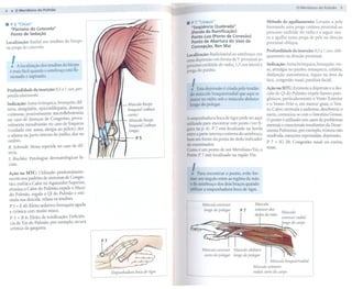 o Meridiano do Pulmão       5
4     . O Meridiano do Pulmão
.    P 5 "Chize"
     "pântano do Cotovelo"
                                                                          . P 7 "Lieque"
                                                                            "Seqüência Quebrada"
                                                                                                                           Método de agulharnento:     Levante a pele
                                                                                                                           formando uma prega cutânea proximal ao
     Ponto de 5edação                                                       (Fenda da Ramificação)                         processo estilóide do rádio e a seguir insi-
                                                                            Ponto Luo (Ponto de Conexão)                   ra a agulha nessa prega de pele na direção
Localização: Radial aos tendões do bíceps                                   Ponto de Abertura do Vaso da                   proximaloblíqua.
na prega do cotovelo.                                                       Concepção. Ren Mai
                                                                                                                           Profundidade    da inserção: 0,5 a 1 eun, obli-
                                                                          Localização: Radiolateral ao antebraço, em quamente na direção proxima!.
      ,
      .  A localização dos tendões do bíceps
                                                                          uma depressão em forma de V proximal ao
                                                                          processo estilóide do rádio, 1,5eun lateral à Indicação: Asma brônquica, bronquite, tos-
     é mais fácil quando o antebraço está tle-                            prega do punho.                               se, artralgia no punho, enxaqueca, cefaléia,
     xionado e supinado.                                                                                                   disfunção autonômica, tiques na área da


Profundidade
pendicularmente.
                   da inserção: 0,5 a 1 eun, per-                           I   Esta depressão é criada pelo tendão
                                                                           do músculo braquiorradial que aqui se
                                                                                                                           face, congestão nasal, paralisia facia!.

                                                                                                                           Ação na MTC: Estimula a dispersão e a des-
                                                                                                                           cida do Qi do Pulmão; expele fatores pato-
                                                                           insere no rádio sob o músculo abdutor           gênicos, particularmente   o Vento Exterior
    Indicação: Asma brônquica, bronquite, dif-         Músculo bíceps      longo do polegar.                               e o Vento-Frio e, em menor grau, o Ven-
    teria, amigdalite, epicondilopatia, doenças        braquial (cabeça                                                    to-Calor; estimula a sudorese, desobstrui o
    cutâneas; possivelmente microtlebotomia            curta)                                                              nariz, comunica-se com o Intestino Grosso.
    no caso de doenças de Congestão, prova-            Músculo bíceps     A empimhadura boca de tigre pode ser aqui        O ponto é utilizado nos casos de problemas
    velmente moxabustão no caso de fraqueza                               utilizada para encontrar este ponto (ver fi-     mentais e emocionais resultantes da Desar-
                                                       braquial (cabeça
    (cuidado em: asma, alergia ao pólen); dor          longa)             gura na p. 4). P 7 está localizado na borda      monia Pulmonar, por exemplo, tristeza não
    e edema na parte interna do joelho, dor no                            entre a parte interna e externa do antebraço,    resolvida, emoções reprimidas, depressão.
                                                           P5             bem em frente da ponta do dedo indicador
    ombro.
                                                                          do examinador.                                   P 7 + IG 20: Congestão       nasal ou coriza,
    R. Sehmidt: Moxa repetida no caso de dif-                                                                              tosse.
                                                                          Como é um ponto de um Meridiano Yin, o
    teria.
                                                                          Ponto P 7 está localizado na região Yin.
    ]. Bisehko: Patologias   dermatológicas      fa-
    ciais.

    Ação na MTC: Utilizado predominante-
                                                                            ,
                                                                            .   Paraencontrar ponto,evitefor-
                                                                                            o
                                                                                                               .
    mente nos padrões de sintomas de Conges-                                mar um ângulo entre as regiões da mão
    tão; resfria o Calor no Aquecedor Superior,                             e do antebraço dos dois braços quando
    elimina o Calor do Pulmão, expele o Muco                                utilizar a empunhadura boca de tigre.
    do Pulmão, regula o Qi do Pulmão e esti-
    mula sua descida, relaxa os tendões.
     P 5 + E 40: Efeito sedativo; bronquite   aguda                                Músculo extensor
     e crônica com muito muco.                                                      longo do polegar      P7
     P 5 + R 6: Efeito de tonificação; Deficiên-
     cia do Yin do Pulmão, por exemplo, secura
     crônica da garganta.




                                                                                                                             Músculo braquiorradial
                                                                                                                   Músculo extensor
                                                                                                                   radial curto do carpo
 