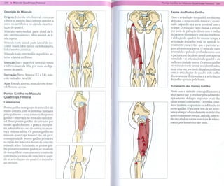 Descrição do Músculo                            Exame dos Pontos Gatilho

Origem: Músculo reto femoral: com uma           Com a articulação do quadril em discreta
cabeça na espinha ilíaca inferior anterior, a   abdução, o músculo reto femoral é exami-
outra no acetábulo e na cápsula da articu-      nado palpando-se a parte proximal com o
lação do quadril.                               polegar. O músculo vasto medial é sentido
Músculo vasto medial: parte distal da li-       por meio de palpação direta com o joelho
nha intertrocantérica, lábio medial da li-      do paciente flexionado e com discreta flexão
nha áspera.                                     e abdução do quadril. Ao mesmo tempo, a
Músculo vasto lateral: parte lateral do tro-    articulação do joelho pode ser apoiada la-
canter maior, lábio lateral da linha áspera,    teralmente para evitar que o paciente se-
linha intertrocantérica.                        gure ativamente a perna. O músculo vasto
                                                intermédio é palpado profundamente com
Músculo vasto intermédio:    superfícies an-
terior e lateral do fêmur.                      o paciente em decúbito dorsal com a perna
                                                estendida e as articulações do quadril e do
Inserção: Base e superfície lateral da rótula   joelho em posição neutra. Os pontos gatilho
e tuberosidade da tíbia por meio do liga-       no músculo vasto lateral são identificados,
mento da patela.                                mais uma vez, por meio de palpação direta
                                                com as articulações do quadril e do joelho
Inervação: Nervo femoral (1.2 a 1.4); mús-
                                                discretamente flexionadas e a articulação
culo indicador para 1.4.
                                                do joelho apoiada pela frente.
Ação: Estende a perna; músculo reto femo-
ral: flexiona a coxa.                           Tratamento dos Pontos Gatilho

                                                Neste caso o método com agulhamento a
Pontos Gatilho no Músculo
                                                seco parece ser o melhor procedimento;
Quadríceps Femoral                              tipicamente, deflagra respostas locais das
Comentários                                     faixas tensas (contrações). Devemos consi-
                                                derar também acupuntura ou infiltração do
Pontos gatilho neste grupo de músculos são      ponto gatilho. O paciente tem de ser orien-
muito comuns, com os sintomas limitados
                                                tado a alongar adequadamente os músculos
principalmente à coxa; a maioria dos pontos     após o tratamento porque, amiÚde, esses es-
gatilho é observada no músculo vasto late-      tão encurtados; outros exercícios de relaxa-
ral. Esses pontos gatilho são ativados por      mento pós-isométrico   são úteis.
tensão aguda durante a prática de espor-
tes, sobretudo no caso de contração excên-
trica violenta súbita. Os pontos gatilho no
músculo quadríceps femoral são, em geral,
conseqüência de pontos gatilho primários
na região dos músculos dorsais da coxa e do
músculo sóleo. Entretanto, os pontos gati-
lho primários também podem ser resultado
de desequilíbrio muscular entre o músculo
vasto medial e o músculo vasto lateral quan-
do as articulações do quadril e do joelho
são afetadas.
 