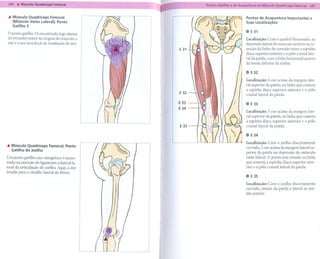 """

   Músculo Quadríceps   Femoral                              Pontos   de Acupuntura     Importantes    e
   (Músculo Vasto Lateral), Ponto                            Suas Localizações
   Gatilho5
                                                             . E31
o ponto gatilho 5 é encontrado logo abaixo
do trocanter maior na origem do músculo, e                   Localização: Com o quadril flexionado, na
este é a sua área local de irradiação de dor.                depressão lateral do músculo sartório na in-
                                                      E 31   serção da linha de conexão entre a espinha
                                                             ilíaca superior anterior e o pólo craniallate-
                                                             ral da patela, com a linha horizontal através
                                                             da borda inferior da sínfise.

                                                             GH32

                                                             Localização: 6 cun acima da margem late-
                                                             ral superior da patela, na linha que conecta
                                                             a espinha ilíaca superior anterior e o pólo
                                                      E 32
                                                             craniallateral da patela.
                                                      E 33   . E33
                                                      E 34
                                                             Localização: 3 cun acima da margem late-
                                                             ral superior da patela, na linha que conecta
                                                             a espinha ilíaca superior anterior e o pólo
                                                      E 35   craniallateral da patela.

                                                             .. E34
                                                             Localização: Com o joelho discretamente
   Músculo  Quadríceps    Femoral,   Ponto
   Gatilho do Joelho                                         curvado,2 cun acima da margem lateral su-
                                                             perior da patela na depressão do músculo
Um ponto gatilho não-miogênico é encon-                      vasto lateral. O ponto está situado na linha
trado na inserção do ligamento colateralla-                  que conecta a espinha ilíaca superior ante-
teral da articulação do joelho. Aqui, a dor                  rior e o pólo craniallateral da patela.
irradia para o côndilo lateral do fêmur.
                                                             . E35
                                                             Localização: Com o joelho discretamente
                                                             curvado, abaixo da patela e lateral ao ten-
                                                             dão patelar.
 