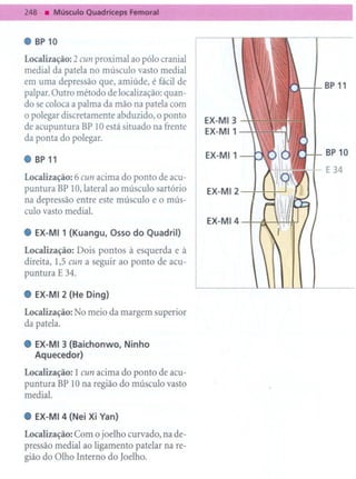 248     . MúsculoQuadricepsFemoral


.     BP 10

Localização: 2 cun proximal ao pólo cranial
medial da patela no músculo vasto medial
em uma depressão que, amiúde, é fácil de               BP11
palpar. Outro método de localização: quan-
do se coloca a palma da mão na patela com
o polegar discretamente abduzido, o ponto
de acupuntura BP 10 está situado na frente
da ponta do polegar.
                                                       BP10
. BP1
   1                                          EX-MI1
                                                       E 34
Localização: 6 cun acima do ponto de acu-
puntura BP 10, lateral ao músculo sartório    EX-MI2
na depressão entre este músculo e o mús-
culo vasto media!.
                                              EX-MI4
. EX-MI1 (Kuangu, Osso do Quadril)
Localização: Dois pontos à esquerda e à
direita, 1,5 cun a seguir ao ponto de acu-
puntura E 34.

. EX-MI2 (He Ding)
Localização: No meio da margem superior
da patela.

. EX-MI3 (Baichonwo, Ninho
  Aquecedor)
Localização: 1 cun acima do ponto de acu-
puntura BP 10 na região do músculo vasto
media!.

.     EX-MI 4 (Nei Xi Van)

Localização: Com o joelho curvado, na de-
pressão medial ao ligamento patelar na re-
gião do Olho Interno do Joelho.
 