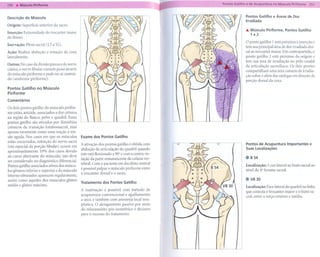 Pontos Gatilho e Áreas de Dor
Descrição do Músculo
                                                                                                              Irradiada
Origem: Superfície anterior    do sacro.
                                                                                                              ... Músculo Piriforme.   Pontos Gatilho
Inserção: Extremidade    do trocanter    maior                                                                    1e2
do fêmur.
                                                                                                              O ponto gatilho 1 está próximo à inserção e
Inervação:   Plexo sacral (LS a 52).
                                                                                                              tem sua principal área de dor irradiada dor-
Ação: Realiza abdução     e rotação     da coxa                                                               sal ao trocanter maior. Em contrapartida, o
lateralmente.                                                                                                 ponto gatilho 2 está próximo da origem e
                                                                                                              tem sua área de irradiação no pólo caudal
Outros: No caso da divisão precoce do nervo
                                                                                                              da articulação sacroilíaca. Os dois pontos
ciático, o nervo fibular comum passa através
                                                                                                              compartilham uma área comum de irradia-
do músculo piriforme e pode ser aí contraí-
                                                                                                              ção sobre e além das nádegas em direção da
do (síndrome piriforme).                                                                                      porção dorsal da coxa.
Pontos Gatilho no Músculo
Piriforme
Comentários

Os dois pontos gatilho do músculo pirifor-
me estão, amiúde, associados a dor crônica
na região do flanco, pelve e quadril. Esses
pontos gatilho são ativados por distúrbios
crônicos da transição lombossacral, mas
apenas raramente como uma reação à ten-
são aguda. Nos casos em que os músculos           Exame dos Pontos Gatilho
estão encurtados, retenção do nervo sacro                                                         v   v
                                                  A ativação dos pontos gatilho é obtida com                  Pontos de Acupuntura       Importantes    e
(em especial da porção fibular) ocorre em                                                                     Suas Localizações
                                                  abdução da articulação do quadril quando
aproximadamente     10% dos casos devido          este está flexionado a 90° e com a contra-ro-
ao curso aberrante do músculo; isto deve
ser considerado no diagnóstico diferencial.
                                                  tação da parte remanescente da coluna ver-                  . BS4
                                                  tebral. Com o paciente em decúbito ventral                  Localização: 3 cun lateral ao hiato sacral ao
Pontos gatilho associados ativos dos múscu-
                                                  é possível pai par o músculo piriforme entre                nível do 4Qforame sacral.
los gêmeos inferior e superior e do músculo       o trocanter dorsal e o sacro.
interno obturador aparecem regularmente,
assim como aqueles dos músculos glúteo            Tratamento    dos Pontos Gatilho
                                                                                                              . VB0
                                                                                                                 3
médio e glúteo máximo.                                                                                        Localização: Face lateral do quadril na linha
                                                  A inativação é possível com método de                       que conecta o trocanter maior e o hiato sa-
                                                  acupuntura    convencional e agulhamento                    cral, entre o terço externo e médio.
                                                  a seco, e também com anestesia local tera-
                                                  pêutica. O alongamento passivo por meio
                                                  do relaxamento pós-isométrico é decisivo
                                                  para o sucesso do tratamento.




                                                                                                          )
 