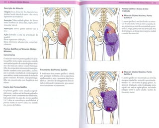 Descrição do Músculo                                                                          Pontos Gatilho e Áreas de Dor
                                                                                              Irradiada
Origem: Face dorsal do ílio, fáscia toraco-
lombar, borda lateral do sacro e do cóccix,
                                                                                              ... Músculo Glúteo Máximo. Ponto
ligamento sacrotuberal.                                                                           Gatilho 1
Inserção: Tuberosidade glútea do fêmur,
                                                                                              O ponto gatilho 1 está localizado na exten-
trato iliotibial da fáscia lata, septo inter-
muscular lateral.                                                                             são de uma linha vertical entre a espinha ilí-
                                                                                              aca posterior ao nível da extremidade proxi-
Inervação: Nervo glúteo inferior (L4 a                                                        mal da prega glútea; tem sua principal área
51).                                                                                          de irradiação ao longo das margens medial
                                                                                              e caudal do músculo.
Ação: Estende a coxa na articulação do
quadril;
fibras superiores: abdução,
fibras inferiores: adução, roda a coxa late-
ralmente.

Pontos Gatilho no Músculo Glúteo
Máximo
Comentários

o músculo tem três pontos gatilho. Os pon-
tos gatilho nesta região aparecem, amiúde,
associados àqueles do músculo glúteo míni-
mo e do músculo ciático-crural. Pontos ga-
tilho dos músculos extensores dorsais pro-
fundos também estão associados. A ativa-        Tratamento    dos Pontos Gatilho
                                                                                              ... Músculo Glúteo Máximo, Ponto
ção é, amiúde, resultado de eventos agudos      A inativação dos pontos gatilho é obtida          Gatilho 2
associados a tensão aumentada do músculo
                                                sem qualquer problema com acupuntura,
glúteo máximo. Portanto, esses pontos ga-       agulhamento a seco e anestesia local tera-    O ponto gatilho 2 é encontrado ao nível da
tilho são encontrados com freqüência nos        pêutica. Exercícios de alongamento direcio-   margem caudal do músculo aproximada-
atletas.                                                                                      mente 4 a 5 em acima da prega glútea. As
                                                nados utilizando relaxamento pós-isomé-
                                                trico completam o tratamento.                 áreas de irradiação estão localizadas nesta
Exame dos Pontos Gatilho
                                                                                              região, em toda a região glútea, incluindo
                                                                                              a região sobre o sacro caudal e acima do
Os pontos gatilho estão situados superfi-
                                                                                              trocanter maior.
cialmente e podem ser facilmente palpados.
Respostas locais raramente são observadas.
Especialmente no caso dos pontos gatilho
1 e 2, deve-se considerar a sensibilidade à
pressão direta do nervo ciático no sentido
dos pontos de Valleix.
 