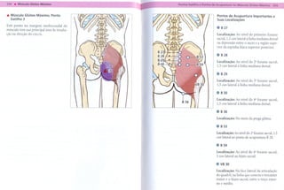 ... Músculo Glúteo Máximo, Ponto                 Pontos de Acupuntura            Importantes         e
    Gatilho 3                                    Suas localizações

Este ponto na margem mediocaudal do              ..   827
músculo tem sua principal área de irradia-
ção na direção do cóccix.                        Localização: Ao nível do primeiro forame
                                                 sacral, 1,5 cun lateral à linha mediana dorsal
                                                 na depressão entre o sacro e a região supe-
                                                 rior da espinha ilíaca superior posterior.

                                                 .. 828
                                                 Localização: Ao nível do 2" forame sacral,
                                                 1,5 cun lateral à linha mediana dorsa!.

                                                 .. 829
                                                 Localização: Ao nível do 3" forame sacral,
                                                 1,5 cun lateral à linha mediana dorsa!.

                                                .. 830
                                                 Localização: Ao nível do 4" forame sacral,
                                                 1,5 cun lateral à linha mediana dorsa!.

                                                 .. 836
                                                 Localização:     No meio da prega glútea.

                                                 .. 853
                                                 Localização:    Ao nível do 2" forame     sacral, 1,5
                                                 cun lateral    ao ponto   de acupuntura     B 28.

                                                 .854

                                                 Localização: Ao nível do 4Qforame sacral,
                                                 3 cun lateral ao hiato sacra!.

                                                 . V8 0
                                                    3
                                                 Localização: Na face lateral da articulação
                                                 do quadril, na linha que conecta o trocanter
                                                 maior e o hiato sacral, entre o terço exter-
                                                 no e médio.
 