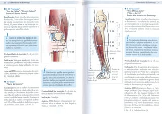 20                                                                                                                                                                               21



.     E 34 HLiangqiuH                                                                                                               . E 36 "Zusanli"
      "Luz da Colina" ("Pico da Colina")                                                                                               "Três Milhas do Pé"
      Ponto Xi (Ponto Fenda)                                                                                                           ("Três Li do Pé")
                                                                                                                                       Ponto   Mar Inferior do Estômago
Localização: Com o joelho discretamente
flexionado, 2 cun acima da margem lateral                                                                                           Localização: Com o joelho discretamen-
da rótula, na depressão no músculo vasto                                                                          E35               te flexionado, 3 cun abaixo do ponto E 35,
                                                                                                                           I
lateral. O ponto situa-se na linha que co-                                              E 34                                  '"
                                                                                                                               '"
                                                                                                                               "
                                                                                                                                    aproximadamente ao nível da margem infe-
                                                                                                                                    rior da tuberosidade tibial, bem como cerca
necta a espinha ilíaca ântero-superior eo                                                                                      m,
                                                                                                                                    de 1 cun lateral à borda tibial no músculo
pólo superior lateral da rótula.
                                                                                                                  E 36    + '"      tibial anterior.
                                                                                                                            '"
      !   Todosos pontos na regiãodo joe,
     lho são pesquisados e agulhados com o                                               E35
                                                                                                                  E40
                                                                                                                            "
                                                                                                                               m,

                                                                                                                                      I   Na palpação dinâmica, uma depres-
     joelho discretamenteflexionado (utilI-                                                                                           são distinta é palpável no Ponto E36. Na
     zar suporte acolchoado para posicionar                                                                       E 38                literatura européia a distância é, em ge-
     melhor o paciente).                                                                                                  1]          ral, fornecida como 1 cun lateral à bor-
                                                                                                                  Músculo tibial      da tibial, enquanto a literatura chinesa
                                                                                         E 36                                         sempre fornece a amplitude discreta-
                                                                                                                  anterior
Profundidade        da inserção:   1 a 2 cun, per-                                                                                    mente menor de 1 dedo médio.
pendicularmente.

Indicação: Sintomas agudos do trato gas-                                                                                            Profundidade    da inserção:   0,5 a 1,5 cun,
trintestinal, problemas no joelho, náuseas                                                                                          perpendicularmente.
e vômitos; ponto distal utilizado em mas-
tites.                                                                                                                              Indicação: Um dos pontos de acupuntu-

Ação na MTC: remove obstruções do meri-
diano, domina o Qi invertido, expele o Ven-
                                                         , ..
                                                               ~ . .         lh.   .
                                                        .. Nao inSIraa agu...a mUlto pron-fu
                                                                                                  Tendão o
                                                                                                  músculo
                                                                                                         d          Tendãodo
                                                                                                                    músculo
                                                                                                                    extensor
                                                                                                                                    ra mais versáteis e utilizado com mais fre-
                                                                                                                                    qüência (depois do Ponto IG 4); um ponto
                                                       darnente devido ao risco de posicionar a   extensor                          de tonificação geral utilizado, amiúde, em
to, Umidade e Frio.                                                                                                 longodo
                                                       agl1lhaintra-articularmente. O Olho la-    longodos                          combinação com moxa; efeito homeostá-
                                                                                                                    hálux           tico nas doenças metabólicas; ponto distal
                                                       teraldo Joelho corresponde aproxima-
. 35"Dubi"                                             damenteàlocalização do acessoartrOs~
                                                                                                  dedos   do pé
                                                                                                                                    utilizado nos transtornos abdominais; forte
       "Nariz de Bezerro"                                                                                                           efeito de harmonização   na psique.
                                                       cópico para a articulação do joelho.
Localização: Com o joelho discretamente                                                                                             Ação na MTC: Fortalece o Baço e o Estô-
flexionado, abaixo da rótula e lateral ao ten-                                                                                      mago, tonifica o Qi e o Sangue, regula a cir-
                                                      Profundidade   da inserção: 3 a 6 mm, na
    dão patelar, o Olho lateral do Joelho (o ter-                                                                                   culação do Qi e do Sangue, fortalece o Qi
                                                      direção medial discretamente obliqua.
    mo Olho do Joelho se aplica aos três pontos                                                                                     da Alimentação (Gu Qi) e o Qi Defensivo
    caudal, medial e lateral à rótula). Portanto, o   Indicação:   Gonalgia.                                                        (Wei Qi), remove a Umidade, dissipa o Frio
    Olho lateral do Joelho corresponde ao Pon-                                                                                      patogênico exterior, regula o Qi puro as-
                                                      Ação na MTC: Remove obstruções do me-
    to E 35, o Olho medial do Joelho correspon-                                                                                     cendente e o Qi turvo descendente, trata a
                                                      ridiano, alivia o edema e a dor. Expele o
    de ao Ponto Extra Xiyan (EX-MI 5).                                                                                              inversão do fluxo de Qi, estabiliza a Mente
                                                      Vento, a Umidade e o Frio.
                                                                                                                                    (Shen) e as emoções.
                                                                                                                                    E 36 + P 9: Deficiência do Qi.
 