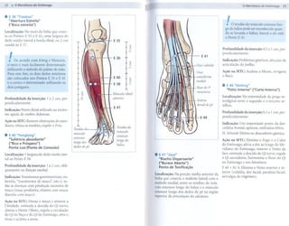 22                                                                                                                                                                       23

.    E38 "Tiaokou"
                                                                                                                              I
     "Abertu ra Estreita"
     ("Boca estreita")                                                                                                        .   O tendão do músculo extensor lon-
                                                                                                                             go do hálux pode ser reconhecido quan-
Localização:    No meio da linha que conec-                                                                                  do se levanta o hálux; lateral a ele está
ta os Pontos    E 35 e E 41, uma largura do                                                                                  o Ponto E 41.
dedo médio     lateral à borda tibial, ou 2 cun
caudal ao E    37.                                                        "
                                                                          '"
                                                                           "
                                                                          '"                                               Profundidade da inserção: 0,5 a 1 cun, per-

     I
     .. De acordo com Konig e Wancura,
                                                              E36     t "'"                                  E 41
                                                                                                                           pendicularmente.

                                                                                                                           Indicação: Problemas gástricos, afecções da
    o meio é mais facilmente determinado                                   "
                                                                          '"                                               articulação do joelho.
 utílizando o método do palmo de mão.
                                                                                                          Osso             Ação na MTC: Acalma a Mente, revigora
 Para este fim, os dois dedos míIlÍlnos
 são colocados nos Pontos E 35 e E 41                         E40                                         cuneiforme       o Baço.
                                                                                                          medial
 e o centro é determinado utilizando os                       E 38
 dois polegares.                                                      1                                                    . E44 "Neiting"
                                                                                                                              "Pátio Interno" ("Corte Interna")
                                                              Músculo tibial
Profundidade     da inserção:   1 a 2 cun, per-               anterior                                                     Localização: Na extremidade da prega in-
pendicularmente.                                                                                                           terdigital entre o segundo e o terceiro ar-
                                                                                                                           telhos.
Indicação: Ponto distal utilizado na síndro-
                                                                                                                           Profundidade da inserção: 0,3 a 1 cun, per-
me aguda do ombro doloroso.
                                                                                                            E44            pendicularmente.
Ação na MTC: Remove obstruções do meri-
                                                                                                                           Indicação: Um importante ponto da dor:
diano, relaxa os tendões, expele o Frio.                        Tendãodo                                                   cefaléia frontal, epistaxe, resfriados febris.
                                                                músculo
. E 40 "Fenglong"                                               extensor
                                                                                                                           H. Schmidt: Efetivono desconforto gástrico.
  "Saliência abundante"                           extensor
                                                                longodo                                                    Ação na MTC: Elimina o Fogo e o Calor
  ("Rico e Próspero")                             longodos.
                                                                hálux                                                      do Estômago, alivia a.dor ao longo do Me-
  Ponto Lua (Ponto de Conexão)                    dedosdopé
                                                                                                                           ridiano do Estômago, remove o Vento da
Localização: 1 largura do dedo médio late-
ral ao Ponto E 38.
                                                                               .   E41 "Jiexi"                             face, estimula a descida do Qi turvo, regula
                                                                                                                           o Qi ascendente, harmoniza o fluxo do Qi
                                                                                   "Riacho Dispersante"
                                                                                   ("Buraco Aberto")                       no Estômago e nos Intestinos.
Profundidade da inserção: 1 a 2 cun, obli-                                         Ponto de Tonificação                    E 44 + IG 4: Elimina o Vento exterior e in-
quamente na direção media!.
                                                                                                                           terior (cefaléia, dor facial, paralisia facial,
                                                                               Localização: Na porção média anterior da
Indicação: Transtornos gastrintestinais, sia-                                                                              nevralgia do trigêmeo).
                                                                               linha que conecta o maléolo lateral com o
lorréia, "transtornos de muco", isto é, to-                                    maléolo medial, entre os tendões do mús-
das as doenças com produção excessiva de                                       culo extensor longo do hálux e o músculo
muco (tosse produtiva, vômito com muco,
                                                                               extensor longo dos dedos do pé na região
diarréia com muco).
                                                                               superior da artículação do calcâneo.
Ação na MTC: Drena o muco e remove a
Umidade, estímula a descida do Qi turvo,
clareia a Mente (Shen), regula a circulação
do Qi do Baço e do Qi do Estômago, abre o
tórax e acalma a asma.
 