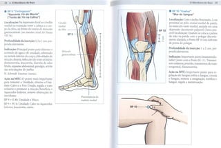 28


. BP 9 "Yinlingquan"
  "Nascente Yin do Monte"
                                                                                                      .   BP10 "Xuehai"
                                                                                                          "Mar de Sangue"
  ("Fonte de Yin na Colina")
                                                                                                      Localização: Com o joelho tlexionado, 2 cun
Localização: Na depressão distal ao côndilo     Côndilo                                               proximal ao pólo cranial medial da patela,
medial na transição entre a cabeça e o cor-     medial                                                no músculo vasto medial, amiúde em uma
po da tíbia, na frente do ventre do músculo     da tíbia                                      BP 10   depressão claramente palpável. Outra pos-
gastrocnêmio (no mesmo nível do Ponto                      BP9                                        sívellocalização: Quando se coloca a palma
VB34).                                                                                                da mão na patela com o polegar discreta-
                                                                                                      mente afastado, o Ponto BP 10 está defronte
Profundidade da inserção: 0,5 a 1 cun, per-
pendicularmente.                                                                                      da ponta do polegar.

Indicação: Principal ponto para eliminar o                                                            Profundidade     da inserção:   1 a 2 cun, per-
                                                   Músculo                                            pendicularmente.
acúmulo de água e de umidade, sobretudo
                                                  gastrocnêmio
na metade inferior do corpo, dificuldades de                                                          Indicação: Importante ponto imunomodu-
micção, disúria, infecções do trato urinário,                                                         lador (junto com o Ponto IG 11). Transtor-
dismenorréia, leucorréia, diarréia de odor                                                            nos cutâneos, prurido, transtornos do trato
fétido, espasmo abdominal, gonalgia, artrite                                                          urogenital, dismenorréia.
das articulações do joelho.
                                                                                                      Ação na MTC: Importante ponto para re-
H. Schmidt: Enurese (moxa).
                                                                                                      gulação do Sangue; esfria o Sangue, circula
Ação na MTC: O ponto mais importante                                                                  o Sangue, remove a estagnação, tonifica o
para remover a Umidade, elimina a Umi-                                                                Sangue, regula a menstruação.
dade-Calor e o Frio Úmido, regula o trato
urinário e promove a micção, beneficia o
Aquecedor Inferior, remove obstruções do
meridiano.                                                       Proeminência     do
BP 9 + E 40: Umidade e Muco.                                     ma/éolo medial

BP 9 + PC 6: Umidade-Calor       no Aquecedor
Inferior, leucorréia, cistite.                                                         BP10
 