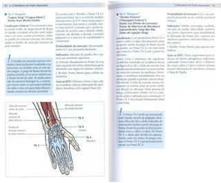 68     . O Meridiano do Triplo Aquecedor                                                                                                                   o Meridiano do Triplo Aquecedor    69


.    TA 4 "Yangchi"
     "lagoa Yang" ("lagoa Ativa")
                                                 De acordo com J. Bischko, o Ponto TA 4 é
                                                 ainda mais distal, isto é, ao nível da cavidade
                                                                                                     . TA S "Waiguan"
                                                                                                       "portão Externo"
                                                                                                                                                    Profundidade da inserção: 0,5 aI cun, per-
                                                                                                                                                    pendicularmente  ou no sentido proximal
     Ponto Yuan (Ponto Fonte)                    articular entre os 4"/5" ossos metacarpais e          ("PassagemExterna")                          oblíquo.
                                                 o osso hamato. Este ponto é, amiúde, mui-             Ponto Lua (Ponto de Conexão)
Localização (chinesa): Discretamente ulnar                                                             Ponto de Abertura do Meridiano               Indicação: Cefaléia, cervicalgia, zumbido,
                                                 to mais sensível à pressão que o ponto lo-
ao ponto médio da prega dorsal de flexão         calizado de acordo com o método chinês.               Extraordinário Yang Wei Mai                  afecções do punho, dificuldade auditiva;
do punho (cavidade articular entre rádio/        Quando    em dúvida,       a decisão é tomada         (Vasode ligação Yang)                        um ponto importante para sensibilidade
ulna e os ossos carpais proxirnais), ulnar                                                                                                          às alterações do tempo, dor e paresia nos
ao tendão do músculo extensor dos dedos,         palpando-se    à procura    de sensibilidade    à   Localização: 2 cun proximal ao Ponto TA 4
                                                                                                                                                    membros superiores, resfriados febris, ecze-
radial ao tendão do músculo extensor do          compressão.                                         entre o rádio e a ulna (discretamente ulnar    ma cutâneo.
dedo mínimo.                                     Profundidade   da inserção: Aproximada-             ao ponto médio da prega de flexão dorsal
                                                                                                     do punho, ver Ponto TA 4), em uma linha
                                                                                                                                                    J.Bischko:   Ponto Mestre para queixas reu-
                                                 mente 0,3 cun, perpendicularmente.                                                                 máticas.
                                                                                                     que conecta o Ponto TA 4 com a ponta do
                                                                                                     olécrano.

     .I
                                                 Indicações: Afecções do punho, dor e pa-                                                           Ação na MTC: Ponto importante para re-
                                                 resia nos membros superiores.                       Aviso: Com o antebraço em supinação            moção de fatores patogênicos exteriores,
         O tendão do músculo extensor dos        H. Schmidt: Moxabustão       no Ponto TA 4 na       (conforme mostrado na incidência dorsal        sobretudo Vento-Calor, alivia o Exterior
     dedos é mais facilmente localizado com
                                                 mão esquerda tem efeito estimulante geral,          na figura da p. 68), a linha de conexão está   do corpo, esfria o Calor e remove toxinas,
     exercícios em teclado com os três de-
                                                 sobretudo nos órgãos do abdome inferior.            situada aproximadamente      no ponto médio    remove obstruções do meridiano, domina
     dos longos. A prega de flexão dorsal do                                                         do músculo extenso r do antebraço. Entre-      o Yang do Fígado.
                                                 J. Bischko: Ponto Mestre para cefaléia va-
     punho, amiúde, só se torna visível com      somotora.                                           tanto, o antebraço normalmente       está em
     a flexão dorsal da mão. Se ainda assim
                                                                                                     pronação quando o paciente está em decú-
     não for possível distingui-Ia, a orienta-   Ação na MTC: Elimina o Vento-Calor, rela-           bito dorsal. A linha de conexão avança cla-
     ção ocorre entre os processos estilóide     xa os tendões, remove obstruções do meri-           ramente no sentido ulnar ao ponto médio
     do rádio e ulna em uma linha discreta-      diano, beneficia o Qi original (Yuan Qi).           em direção ao olécrano. Nesta posição do
     mente convexa na direção proxirnal.
                                                                                                     braço, a linha entre o Ponto TA 4 e a cabe-
                                                                                                     ça do rádio é utilizada para orientação. O
                                                                                                     Ponto TA 5 está situado diretamente ulnar
                                                                                                     a esta linha.
      Músculo   extensor                                  Músculo extensor
      ulnar do carpo
      Músculo
                                                          dos dedos da mão


                                                                                                       .
                                                                                                        I   O Ponto TA 5 pode ser encontrado
      extenso r do
                                                                      TAS                             mais rápido através de palpação dinâ-
      dedo mínimo
                                                                                                      mica. Para este fim, o dedo indicador do
                                                                       TA4
                                                                                                      examinador desliza a partir da prega de
      Tendãodo
                                                                                                      flexão dorsal do punho na direção pro-
      músculo extensor                                                  (chinês)                      ximal entre o rádio e a ulna. No Ponto
      do dedo mínimo-
                                                                                                      TA 5, o dedo pára devido ao espessa-
                                                                                TA4                   mento cada vez maior da prega cutâ-
                                                                                (Bischko)             nea. O Ponto TA 5 é aproximadamente
                              TA3                                                                     oposto ao Ponto PC 6.
 