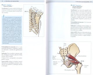 80    .  O Meridiano da Vesícula Biliar
                                                                                                                                            o Meridiano da Vesfcula Biliar 81


.    VB 21 "Jianjing"
     "Poço do Ombro"
                                                                                                                                 .   VB30 "Huantiao"
                                                                                                                                     "Círculo Saltitante"
                                                       """"'0                                                                        ("Salto Circular")
Localização: No ponto médio da linha que                        ..............
conecta o acrômio com o processo espinho-                                        """".:(2                                        Localização: Face lateral do quadril, na li-
so de C7, na extensão dorsal vertical da li-   VB 21                                        ............                         nha que conecta o trocanter maior ao hia-
nha mamilar.
                                                                                                                                 to sacral, entre o terço externo e médio da
                                                                                                                                 linha. Na China, este ponto sempre é agu-


     !   Como localizar C7: O processo es-
    pinhoso de C7 é o primeiro da coluna
                                                                                                                                 Ihado com o paciente em decúbito lateral.
                                                                                                                                 O quadril e o joelho do lado a ser tratado
                                                                                                                                 são flexionados, enquanto
                                                                                                                                 tendida.
                                                                                                                                                             a perna fica es-
    cervical que não desliza ventralmente
    com a retroflexão da cabeça. Durante                                                                                         Profundidade da inserção:   1,5 a 3 cun, per-
    a palpação recomenda-se procurar pri-                                                                                        pendicularmente.
    meiro o process() espinhoso mais proe-
    minente (provavelmente C7), enquanto                                                                                         Indicação: Lombalgia, lombociatalgia, im-
    em anteflexão, e marcá-Io com a ponta                                                                                        portante ponto da ciática; sintomas seme-
    do dedo. Em retroflexão, o dedo perma-                                                                                       lhantes aos da nevralgia e paresia dos mem-
    nece no lugar, desde que o processo seja                                                                                     bros inferiores, coxalgia.
    o de C7; se o dedo se mover na direção                                                                                       Ação na MTC: Remove obstruções do me-
    ventral, é o de C6. O eXame com dois
                                                                                                                                 ridiano, expele o Vento, o Frio e a Umidade
 dedos também é possível; um dedo é                                                                                              do meridiano,   fortalece a região lombar e
 colocado no presumido processo C6, o                                                                                            os quadris.
 outro dedo no processo de C7. Em re-
 troflexão, pode-se sentir o deslizamento
 ventral do processo superior e os dois
 processos espinhosos se aproximando
 um do outro.                                                                                                           Hiato
                                                                                                                        sacral
Profundidade da inserção: 0,5 a 1 cun,
perpendicularmente à superfície cutânea,
ou utilizando o método de agulhamento
a seco.

Indicação: Dor no ombro e pescoço, cefa-
léia, facilitação do parto, placenta retida,
lactação difícil, mastite.                                                                                 Músculo
O Ponto VB 21 corresponde       a um ponto-                                                                gêmeo
gatilho comum.                                                                                             superior.

Ação na MTC: Relaxa os tendões, remove                                                                      Músculo-
obstruções do meridiano, promove a des-                                                                     obturador
cida do Qi, promove a contração uterina                                                                     interno
                                                                                                                                                              Trocanter
e a lactação.
                                                                                                                                                              maIOr
 