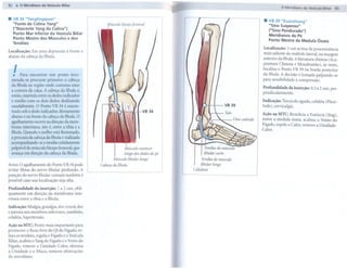 82


.
      .  O Meridiano da Vesícula Biliar


     VB 34 "Vanglingquan"
     "Fonte da Colina Yang"
                                                                                       -                              .
                                                                                                                                o Meridiano da Vesícula Biliar 83


                                                                                                                          VB 39 "Xuanzhong"
                                                    Músculo   bíceps femoral
                                                                                                                          "Sino Suspenso"
     ("Nascente Yang da Colina")                                                                                          ("Sino Pendurado")
     Ponto Mar Inferior da Vesícula Biliar
                                                                                                                          Meridianos do Pé
     Ponto Mestre dos Músculos e dos
                                                                                                                          Ponto Mestre da Medula      Óssea
     Tendões
                                                                                                                     Localização:   3 cun acima da proeminência
Localização: Em uma depressão à frente e
abaixo da cabeça da fíbula.                                                                                          mais saliente do maléolo lateral, na margem
                                                                                                                     anterior da fíbula. A literatura chinesa (Acu-

     I
     .   Para encontrar este ponto reco-
                                                                                                                     puntura Chinesa e Moxabustão), às vezes,
                                                                                                                     localiza o Ponto VB 39 na borda posterior
                                                                                                                     da fíbula. A decisão é tomada palpando-se
    menda-se procurar primeiro a cabeça                                                                              para sensibilidade à compressão.
    da fíbula na região onde costuma estar
                                                                                                                     Profundidade da inserção: 0,5 a 2 cun, per-
    a costura da calça. A cabeça da fíbula é,
                                                                                                                     pendicularmente.
    então, mantida entre os dedos indicador
    e médio com os dois dedos deslizando                                                                             Indicação: Torcicolo agudo, cefaléia (Pleni-
    caudalmente. O Ponto VB 34 é encon-                                                                              tude), cervicalgia.
    trado sob o dedo indicador, diretamente
 abaixo e na frente da cabeça da tiôula. O                                                                           Ação na MTC: Beneficia a Essência (Jing),
                                                                                                                     nutre a medula óssea, acalma o Vento do
 agulhamento ocorre na direção da mem-
                                                                                                                     Fígado, expele o Calor, remove a Umidade-
 brana interóssea, isto é, entre a tíbia e a                                                                         Calor.
    fíbula. Quando o joelho está flexionado,
    a procura da cabeça da fíbula é realizada
    acompanhando-se o tendão nitidamente
    palpável do músculo bíceps femora!, que                    Músculo    extensor               Tendão do músculo
    avança em direção da cabeça da fíbula.                     longo dos dedos do pé            fibular     curto
                                                        Músculo fibular   longo"              Tendão do músculo
Aviso: O agulhamento do Ponto VB 34 pode        Cabeça da fíbula                              fibular     longo
irritar fibras do nervo fibular profundo. A                                                Calcâneo
punção do nervo fibular comum também é
possível caso sua localização seja alta.

Profundidade    da inserção: 1 a 2 cun, obli-
quamente em direção da membrana inte-
róssea entre a tíbia e a fíbula.

Indicação: Mialgia, gonalgia, dor crural, dor
e paresia nos membros inferiores, zumbido,
cefaléia, hipertensão.

Ação na MTC: Ponto mais importante para
promover o fluxo livre do Qi do Fígado, re-
laxa os tendões, regula o Fígado e a Vesícula
Biliar, acalma o Yang do Fígado e o Vento do
Fígado, remove a Umidade-Calor, elimina
a Umidade e o Muco, remove obstruções
do meridiano.
 