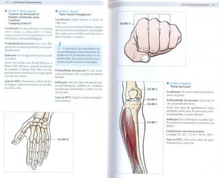 110.    Os Pontos Extraordinários
                                                                                                                                   Os Pontos Extraordinários   tU

.   EX-MS8 "Wailaogong"
    "Exterior do Pericárdio 8"
                                                 .    EX-MS9 "Baxie"
                                                      "Oito Fatores    Patogênicos"
    Também conhecido como
    "Luozhen"                                    Localização:      Quatro   pontos no dorso de
    "Laogong   Externo"                          cada mão.                                         EX-MS9
                                                 Com o punho levemente fechado, os pontos
Localização: No dorso da mão, na transição
                                                 são encontrados proximais à extremidade
entre o corpo e a cabeça dos 2" e 3" meta-
                                                 das pregas entre os dedos, na borda entre a
carpas, cerca de 0,5 cun proximal à 2' e à 3'
                                                 pele vermelha e a branca.
articulações metacarpofalângicas.

Profundidade   da inserção: 0,5 a 1 cun, obli-
quamente na direção proximal, ou perpen-
dicularmente.                                        !   A localização das articulações me-
                                                     tacarpofalângicas é mais claramente de-
Indicação: Cervicalgia, dor no pescoço, dor          finida através de discreta tração do res-
no ombro.                                            pectivo dedo. Isto causa o discreto retesa-
Aviso: De acordo com Kanig/Wancura, o                mento da pele na área da articulação.
Ponto PaM 108 tem a mesma localização
de Luozhen. O Ponto PaM 108 é um im-
                                                 Profundidade  da inserção: 0,3 cun, na di-
portante ponto distal para cervicalgia aguda     reção proximal com o punho levemente
e/ou dor no ombro.                               fechado.

Ação na MTC: Harmoniza o fluxo do Qi e
do Sangue, remove obstruções do meridia-
                                                 Indicação: Afecções das articulações me-
                                                 tacarpofalângicas,  cefaléia, dor dentária,
                                                                                                                      .   EX-MI 2 "Heding"
                                                                                                                          "Ponte da Coroa"
no, alivia a dor.                                inquietação, osteoartrite e artrite nos de-                EX-MI 2
                                                 dos da mão.                                                          Localização: No ponto médio da borda su-
                                                                                                                      perior da patela.
                                                 Ação na MTC: Expele os fatores patogêni-
                                                 cos exteriores.                                            EX-MI 4   Profundidade da inserção: Cerca de 0,3
                                                                                                            EX-MI 5   cun, perpendicularmente.
                                                                                                                      Aviso: Nos casos de agulhamento muito
                                                                                                                      profundo, existe risco de puncionar a bol-
                                                                                                                      sa suprapatelar e causar infecção.
                                                                                                                      Indicação: Dor e disfunção no joelho (joe-
                                                                                                                      lho instável, levantamento involuntário do
                                                                                                                      joelho).

                                                                                                                      Combinação com outros pontos:
                                                                                                                      Gonalgia: EX-MI 2 + E 36 + VB 34 + BP 9.
                                                     EX-MS 8                                                          Ação na MTC: Não existe esfera de ações
                                                                                                                      fundamentais conhecida.
 