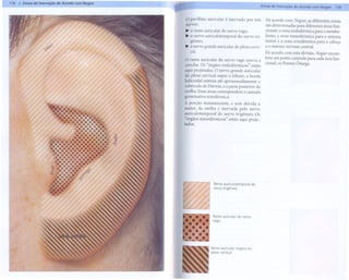 118 jj, Zonas de Inervação de Acordo com Nogier
                                                                                                                                     Zonas de Inervação de Acordo com Nogier, 119


                                                                                  o pavilhão auricular é inervado por três             De acordo com Nogier, as diferentes zonas
                                                                                  nervos:                                              são determinadas para diferentes áreas fim-
                                                                                  ~ o ramo auricular do nervo vago,                    cionais: a zona endodérmica para o metabo-
                                                                                  ~ o nervo auriculotemporal  do nervo tri-            lismo, a zona mesodérmica para o sistema
                                                                                    gêmeo,                                             motor e a zona ectodérmica para a cabeça
                                                                                  ~ o nervo grande auricular do plexo cervi-           e o sistema nervoso central.
                   ~~~q,                                                           cal.
                                                                                                                                       De acordo com esta divisão, Nogier encon-
                                                                                  o ramo auricular do nervo vago inerva a              trou um ponto controle para cada área fim-
                                                                                  concha. Os "órgãos endodérmicos"       estão         cional; os Pontos Omega.
                                                                                  aqui projetados. O nervo grande auricular
                                                                                  do plexo cervical supre o lóbulo, a borda
                                                                                  helicoidal externa até aproximadamente      o
                                                                                  tubérculo de Darwin, e a parte posterior da
                                                                                  orelha. Essas áreas correspondem à camada
                                                                                  germinativa ectodérmica.

                        .
                     'Il.. .-"
                    ""

                        .......
                       .........
                                          ..       ~..,.

                                                                  ~~
                                                                                  A porção   remanescente,    e sem dúvida
                                                                                  maior, da orelha é inervada pelo nervo
                                                                                                                                 a


                         .........                                                auriculotemporal  do nervo trigêmeo. Os
                                                                                  "órgãos mesodérmicos" estão aqui proje-
                                          '.."             ........
                                                                 "'          '.   ta dos.
                                                           '.
                                                           ..
                                                                      ..,'
                                                                        .
                                                                      ..,
                       . .." ... . ' -"
                                  .       ....e..
                      ,~
                        ............. ...,.
                         ..............
                         ... . . . . . . . . '
                                 '




                         ~
                           ",'..'... A'. .
                           .....
                                .    1/1'


                       .... ,
                           '...
                      ,!t ".'
                      .....'.
                         ,

                                 ,
                                               "

                     .....
                     ~ ..
                      ,~                                                                           Nervo auriculotemporal   do
                             '
                                                                                                   nervo trigêmeo
                                 ,
                                     ..




                                                                                                  Ramo auricular do nervo
                                                                                                  vago




                                                                                                 Nervo auricular magno do
                                                                                                 plexo cervical
 