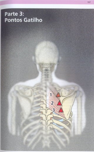 --   --   ---   - ---
 