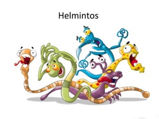 Helmintos
 