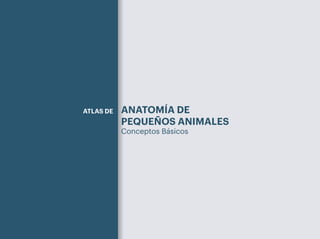 ANATOMÍA DE
ANATOMÍA DE
PEQUEÑOS ANIMALES
PEQUEÑOS ANIMALES
Conceptos Básicos
Conceptos Básicos
ATLAS DE
2015_Atlas.indb 1 23/02/16 14:21
 