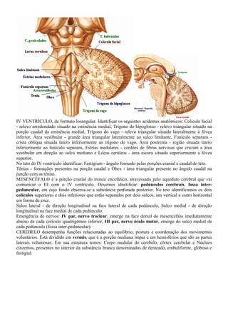 IV VENTRÍCULO, de formato losangular. Identificar os seguintes acidentes anatômicos: Colículo facial
- relevo arredondado situado na eminência medial, Trígono do hipoglosso - relevo triangular situado na
porção caudal da eminência medial, Trígono do vago - relevo triangular situado lateralmente à fóvea
inferior, Área vestibular - grande área triangular lateralmente ao sulco limitante, Funículo separans -
crista oblíqua situada latero inferiormente ao trígono do vago, Área postrema - região situada latero
inferiormente ao funículo separans, Estrias medulares - cordões de fibras nervosas que cruzam a área
vestibular em direção ao sulco mediano e Lócus cerúleos - área escura situada superiormente a fóvea
superior.
No teto do IV ventrículo identificar: Fastigium - ângulo formado pelas porções cranial e caudal do teto.
Tênias - formações presentes na porção caudal e Óbex - área triangular presente no ângulo caudal na
junção com as tênias.
MESENCÉFALO é a porção cranial do tronco encefálico, atravessado pelo aqueduto cerebral que vai
comunicar o III com o IV ventrículo. Devemos idnetificar: pedúnculos cerebrais, fossa inter-
peduncular, em cujo fundo observa-se a substância perfurada posterior. No teto identificamos os dois
colículos superiores e dois inferiores que estão separados por dois sulcos, um vertical e outro horizontal
em forma de cruz.
Sulco lateral - de direção longitudinal na face lateral de cada pedúnculo, Sulco medial - de direção
longitudinal na face medial de cada pedúnculo.
Emergência de nervos: IV par, nervo troclear, emerge na face dorsal do mesencéfalo imediatamente
abaixo de cada colículo quadrigêmeo inferior, III par, nervo óculo motor, emerge do sulco medial de
cada pedúnculo (fossa inter-peduncular).
CEREBELO desempenha funções relacionadas ao equilíbrio, postura e coordenação dos movimentos
voluntários. Está dividido em vermis, que é a porção mediana ímpar e em hemisférios que são as partes
laterais volumosas. Em sua estrutura temos: Corpo medular do cerebelo, córtex cerebelar e Núcleos
cinzentos, presentes no interior da substância branca denominados de denteado, embuliforme, globoso e
fastigial.
 