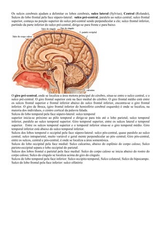Os sulcos cerebrais ajudam a delimitar os lobos cerebrais, sulco lateral (Sylvius), Central (Rolando),
Sulcos do lobo frontal pela face súpero-lateral: sulco pré-central, paralelo ao sulco central; sulco frontal
superior, começa na porção superior do sulco pré-central sendo perpendicular a ele; sulco frontal inferior,
partindo da parte inferior do sulco pré-central, dirige-se para frente e para baixo.
O giro pré-central, onde se localiza a área motora principal do cérebro, situa-se entre o sulco central, e o
sulco pré-central. O giro frontal superior está na face medial do cérebro. O giro frontal médio está entre
os sulcos frontal superior e frontal inferior abaixo do sulco frontal inferior, encontra-se o giro frontal
inferior. O giro de Broca, (giro frontal inferior do hemisfério cerebral esquerdo) é onde se localiza, na
maioria dos indivíduos, o centro cortical da palavra falada.
Sulcos do lobo temporal pela face súpero-lateral: sulco temporal
superior inicia-se próximo ao pólo temporal e dirige-se para trás até o lobo parietal; sulco temporal
inferior, paralelo ao sulco temporal superior. Giro temporal superior, entre os sulcos lateral e temporal
superior. Entre os sulcos temporal superior e o temporal inferior situa-se o giro temporal médio. Giro
temporal inferior está abaixo do sulco temporal inferior.
Sulcos dos lobos temporal e occipital pela face súpero-lateral: sulco pós-central, quase paralelo ao sulco
central; sulco intraparietal, muito variável e geral mente perpendicular ao pós–central; Giro pós-central,
entre os sulcos, central e pós-central, é onde se localiza a área somestésica.
Sulcos do lobo occipital pela face medial: Sulco calcarino, abaixo do esplênio do corpo caloso; Sulco
parieto-occipital separa o lobo occipital do parietal.
Sulcos dos lobos frontal e parietal pela face medial: Sulco do corpo caloso se inicia abaixo do rostro do
corpo caloso; Sulco do cíngulo se localiza acima do giro do cíngulo.
Sulcos do lobo temporal pela face inferior: Sulco occipito-temporal, Sulco colateral, Sulco do hipocampo.
Sulco do lobo frontal pela face inferior: sulco olfatório
 