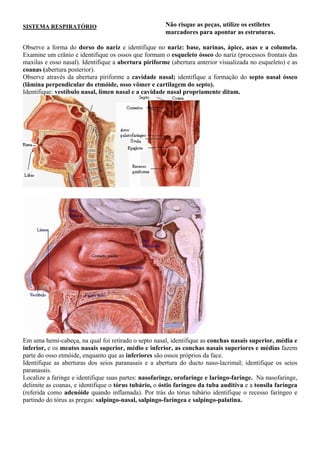 Não risque as peças, utilize os estiletes
marcadores para apontar as estruturas.
SISTEMA RESPIRATÓRIO
Observe a forma do dorso do nariz e identifique no nariz: base, narinas, ápice, asas e a columela.
Examine um crânio e identifique os ossos que formam o esqueleto ósseo do nariz (processos frontais das
maxilas e osso nasal). Identifique a abertura piriforme (abertura anterior visualizada no esqueleto) e as
coanas (abertura posterior).
Observe através da abertura piriforme a cavidade nasal; identifique a formação do septo nasal ósseo
(lâmina perpendicular do etmóide, osso vômer e cartilagem do septo).
Identifique: vestíbulo nasal, límen nasal e a cavidade nasal propriamente ditam.
Em uma hemi-cabeça, na qual foi retirado o septo nasal, identifique as conchas nasais superior, média e
inferior, e os meatos nasais superior, médio e inferior, as conchas nasais superiores e médias fazem
parte do osso etmóide, enquanto que as inferiores são ossos próprios da face.
Identifique as aberturas dos seios paranasais e a abertura do ducto naso-lacrimal; identifique os seios
paranasais.
Localize a faringe e identifique suas partes: nasofaringe, orofaringe e laringo-faringe. Na nasofaringe,
delimite as coanas, e identifique o tórus tubário, o óstio faríngeo da tuba auditiva e a tonsila faríngea
(referida como adenóide quando inflamada). Por trás do tórus tubário identifique o recesso faríngeo e
partindo do tórus as pregas: salpingo-nasal, salpingo-faríngea e salpingo-palatina.
 