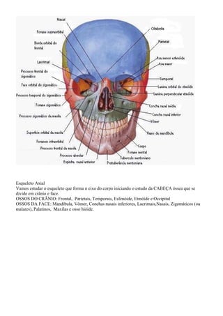 Esqueleto Axial
Vamos estudar o esqueleto que forma o eixo do corpo iniciando o estudo da CABEÇA óssea que se
divide em crânio e face.
OSSOS DO CRÂNIO: Frontal, Parietais, Temporais, Esfenóide, Etmóide e Occipital
OSSOS DA FACE: Mandíbula, Vômer, Conchas nasais inferiores, Lacrimais,Nasais, Zigomáticos (ou
malares), Palatinos, Maxilas e osso hióide.
 