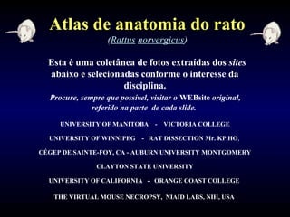Esta é uma coletânea de fotos extraídas dos sites
abaixo e selecionadas conforme o interesse da
disciplina.
Procure, sempre que possível, visitar o WEBsite original,
referido na parte de cada slide.
UNIVERSITY OF MANITOBA - VICTORIA COLLEGE
UNIVERSITY OF WINNIPEG - RAT DISSECTION Mr. KP HO,
CÉGEP DE SAINTE-FOY, CA - AUBURN UNIVERSITY MONTGOMERY
CLAYTON STATE UNIVERSITY
UNIVERSITY OF CALIFORNIA - ORANGE COAST COLLEGE
THE VIRTUAL MOUSE NECROPSY, NIAID LABS, NIH, USA
Atlas de anatomia do rato
(Rattus norvergicus)
 