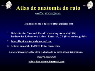 Leia mais sobre o rato e outras espécies em:
1. Guide for the Care and Use of Laboratory Animals (1996)
Institute for Laboratory Animal Research, CA (livro online, grátis)
2. Johns Hopkins Animal care and use
3. Animal research, IACUC, Univ. Iowa, USA
Caso se interesse sobre ética e utilização de animais em laboratório,
escreva para mim
edinaldomiranda@hotmail.com
Atlas de anatomia do rato
(Rattus norvergicus)
 