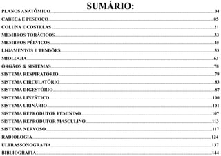 PLANOS ANATÔMICO...............................................................................................................................................04
CABEÇA E PESCOÇO................................................................................................................................................05
COLUNA E COSTELAS .............................................................................................................................................21
MEMBROS TORÁCICOS...........................................................................................................................................33
MEMBROS PÉLVICOS...............................................................................................................................................45
LIGAMENTOS E TENDÕES......................................................................................................................................53
MIOLOGIA...................................................................................................................................................................63
ÓRGÃOS & SISTEMAS..............................................................................................................................................78
SISTEMA RESPIRATÓRIO........................................................................................................................................79
SISTEMA CIRCULATÓRIO.......................................................................................................................................83
SISTEMA DIGESTÓRIO.............................................................................................................................................87
SISTEMA LINFÁTICO..............................................................................................................................................100
SISTEMA URINÁRIO................................................................................................................................................101
SISTEMA REPRODUTOR FEMININO..................................................................................................................107
SISTEMA REPRODUTOR MASCULINO..............................................................................................................113
SISTEMA NERVOSO.................................................................................................................................................117
RADIOLOGIA............................................................................................................................................................124
ULTRASSONOGRAFIA............................................................................................................................................137
BIBLIOGRAFIA.........................................................................................................................................................144
SUMÁRIO:
 