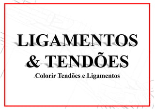 LIGAMENTOS
& TENDÕES
Colorir Tendões e Ligamentos
 