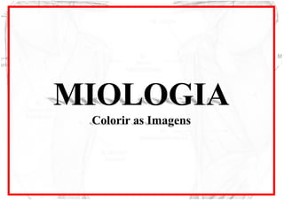 MIOLOGIA
Colorir as Imagens
 