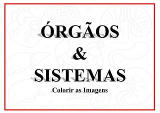 ÓRGÃOS
&
SISTEMAS
Colorir as Imagens
 