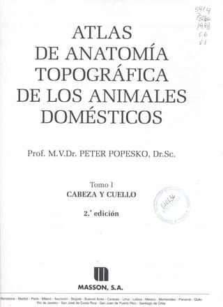 Atlas de anatomia topografica de lo animales domesticos   tomo 1 (1)