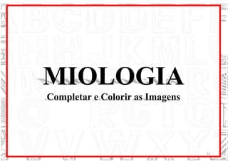 MIOLOGIA
Completar e Colorir as Imagens
41
 
