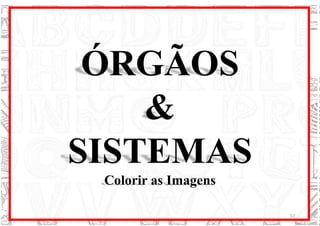 ÓRGÃOS
&
SISTEMAS
Colorir as Imagens
51
 