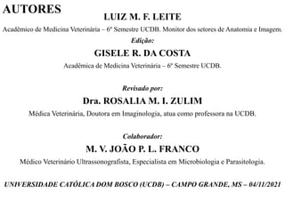 LUIZ M. F. LEITE
Acadêmico de Medicina Veterinária – 6º Semestre UCDB. Monitor dos setores de Anatomia e Imagem.
Edição:
GISELE R. DA COSTA
Acadêmica de Medicina Veterinária – 6º Semestre UCDB.
Revisado por:
Dra. ROSALIA M. I. ZULIM
Médica Veterinária, Doutora em Imaginologia, atua como professora na UCDB.
Colaborador:
M. V. JOÃO P. L. FRANCO
Médico Veterinário Ultrassonografista, Especialista em Microbiologia e Parasitologia.
UNIVERSIDADE CATÓLICA DOM BOSCO (UCDB) – CAMPO GRANDE, MS – 04/11/2021
AUTORES
 