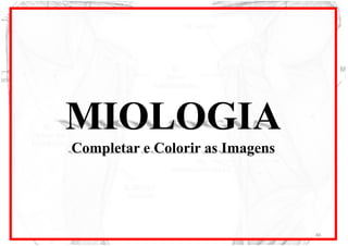 MIOLOGIA
Completar e Colorir as Imagens
46
 