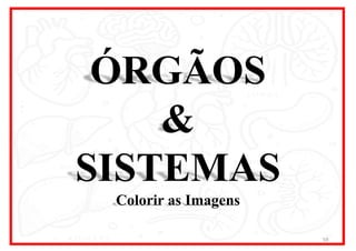 ÓRGÃOS
&
SISTEMAS
Colorir as Imagens
59
 