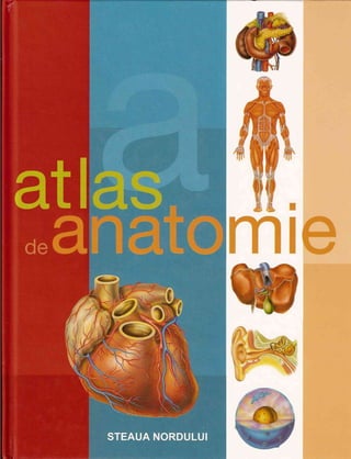 Atlas de anatomie ilustrat