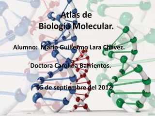 Atlas de
        Biología Molecular.

Alumno: Mario Guillermo Lara Chávez.

     Doctora Carolina Barrientos.


       05 de septiembre del 2012
 