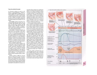 Fases de acción del corazón
La frecuencia cardiaca en reposo es 60-
80/min. En aproximadamente 1 segundo se
producen cuatro fases de acción en los ven-
trículos cardíacos (A), la fase de contracción (I)
y eyección (II) de la sístole y la fase de relaja-
ción (III) y llenado (IV) de la diastole, al final de
la cual se contraen las aurículas. Estas fases
mecánicas de la acción cardíaca dependen de
Ia excitación eléctrica de las aurículas y los ven-
trículos.
Las válvulas cardíacas determinan la di-
rección del flujo dentro del corazón, que es de
la aurículas a los ventrículos (fase IV) y desde
éstos a la arteria aorta o pulmonar (fase II).
Durante las fases I y III todas las válvulas per-
manecen cerradas (A, arriba). La apertura o
cierre valvular vienen determinados por la pre-
sión a ambos lados de las mismas.
Ciclo cardíaco. Al final de la diastole ven-
tricular (fase IVc) se descarga el nodo sinusal
(inicio de la onda P del ECG; Al, fase IVc y
v. 196 y ss.) y se contraen las aurículas (A4,
fase IVc) y se produce la estimulación ventricu-
lar (complejo QRS del ECG). Empieza a subir
la presión ventricular (A2, azul) superando la
auricular, de forma que se cierran las válvulas
tricúspide y mitral. En este momento termina
la diastole y el volumen al final de Ia diastole
(VFD) en el ventrículo en situación de repo-
so supone unos 120 ml (A4), equivalente a
70 ml/m2
de superficie corporal (SC).
En ese momento empieza la fase de con-
tracción (fase I, unos 50 ms), durante la cuaj
se contraen los ventrículos (todas las válvulas
cerradas: contracción ¡souofumétrica: primer
tono cardíaco; A6), de forma que aumenta
con rapidez la presión ventricular. La presión
en el ventrículo izquierdo (A2, azul) supera en
80 mm Hg la presión aórtica (y en el ventrículo
derecho supera en 10 mm Hg la presión de la
arteria pulmonar), lo que permite que se
abran las válvulas semilunares (aórtica y pulmo-
nar) (A2).
Después empieza la fase de eyección
(fase II, en reposo unos 210 ms), en la que la
presión en el ventrículo izquierdo y la aorta al-
canza un valor máximo de 120 mm Hg (pre-
sión arterial sistólica). En la primera parte de
esta fase (Ha) se produce la eyección rápida
de la mayor parte del volumen sistólico (VS) (A4),
aumentando Ia intensidad de la corriente en la
raíz aórtica hasta el máximo (A5). Después de-
saparece la excitación del miocardio (onda T
del ECG, Al) y empieza a disminuir la presión
ventricular (el resto del VS se expulsa con ma-
yor lentitud, fase Hb) y por último disminuye la
presión aórtica y pulmonar, lo que permite el
cierre inmediato de las válvulas semilunares
(segundo tono cardíaco; A6). En reposo el VS
representa una media de 80 mi (47 ml/m2
de
SC), de forma que la fracción de eyección en
reposo (VS/VFD) es 0,67. En el ventrículo
queda un volumen tetesistólico I= volumen
de reposo (VTS)] de unos 40 ml (A4).
En ese momento empieza la diastole con Ia
fase de relajación isovolumétrica (fase III,
60 ms). Antes se habrán llenado las aurículas
por el efecto de succión asociado al descenso
de las válvulas durante la fase de eyección
(descenso de la presión venosa central (PVC)
de c a x; A3). La presión ventricular disminu-
ye de forma abrupta (A2) y aumenta la presión
auricular (onda ν de la PVC), de forma que se
vuelven a abrir las válvulas tricúspide y mitral.
Empieza la fase de llenado (fase IV, en re-
poso unos 500 ms). La sangre sale de las aurí-
culas hacia los ventrículos con tanta rapidez
(disminuye la presión y .la PVC; A3), que en
sólo una cuarta parte de la duración de la dias-
tole se llenan en un 80% (para una frecuencia
cardíaca normal; fase de llenado rápido IVa;
A4). Después se retrasa el llenado (FVb) y por
último se produce la contracción auricular
(fase IVc y onda α de la PVC; A2,3). La con-
tracción auricular contribuye con un ritmo car-
díaco normal sólo con el 15% del llenado
ventricular. Los aumentos de la frecuencia car-
díaca se consiguen a expensas de acortar la
diastole, Io que aumenta la importancia de
la contracción auricular para el llenado ven-
tricular.
La acción cardíaca escalonada genera una
onda del pulso (presión), que se transmite
por la corriente arterial en forma de velocidad
de Ia onda del pulso (VOP) (aorta 3-5 m/s, ar-
teria radial 5-12 m/s). La VOP es mayor que la
velocidad de la corriente V, que alcanza un va-
lor máximo de 1 m/s en la aorta, y cuanto ma-
yor sea menos elástica será la pared vascular.
 