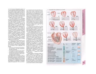 (ν. 59, A) tiene una importancia especial. La
zona del miocardio excitada en primer lugar si-
gue en estado refractario, cuando se produce la
excitación de las partes distales del mismo, lo
que impide que se produzca un circuito de exci-
tación miocárdica (reentrada). Este fenómeno
se mantiene en presencia de frecuencias muy
altas y muy bajas, porque la duración del PA
se adapta a la frecuencia cardíaca (B2).
El PA abre los cana/es de Ca2+
controlados
por potencial (asociados con los denominados
receptores de dihidropiridina) de la membrana
de la célula miocárdica, de forma que el Ca2+
entre desde el espacio extracelular (v. 63, B3),
aumentando la concentración citosólica del
mismo («chispa» de Ca2+
); este efecto, denomi-
nado gatillo, abre los canales de Ca2+
contro-
lados por ligando sensibles a rianodina que ac-
túan como depósito de Ca2+
en el retículo sar-
coplásmico. Este nuevo flujo de entrada de
Ca2+
al citosol permite el acoplamiento electro-
mecánico (v. 62) en la contracción cardiaca. La
concentración citosólica de Ca2+
se controla
mediante el transporte retrógrado del mismo
hacia los depósitos (mediante una ATPasa de
Ca2+
) y su salida hacia el espacio extracelular,
de la que se ocupan una ATPasa de Ca2+
y un
intercambiador 3 NaYCa2+
, que es regulado
de forma directa por el gradiente electroquími-
co de Na+
en la membrana celular y de forma
indirecta por la ATPasa Na+
/K+
.
El corazón late de forma autónoma, por lo
que su frecuencia se adapta a las distintas
necesidades en parte gracias a los neruios car-
díacos eferentes. Las siguientes propiedades
de la frecuencia cardíaca se pueden modificar
por vía nerviosa (y por la adrenalina en el
plasma):
- la frecuencia de la generación de impulsos
en el marcapasos y, por tanto, la frecuencia
del latido (cronotropía),
- la velocidad de Ia transmisión del estímulo,
por ejemplo en el nodo AV (dromotropía),
- la potencia del movimiento muscular para
una distensión determinada, es decir, la con
tractilidad cardíaca (inotropía).
Estas modificaciones en la frecuencia cardíaca se
desencadenan a través de la acetilcolina (ACh)
de las fibras parasimpáticas del nervio vago (uni-
da a los receptores colinérgicos M2 de las células
marcapasos) y de la noradrenalina (NA) de las fi-
bras simpáticas y la adrenalina (A) plasmática
(unidas a los receptores β,; ν. 84 y ss.j. La NA y
la A aumentan la frecuencia del latido en el
nodo sinusal (efecto cronotropo positivo),
mientras que la ACh la reduce (efecto crono-
tropo negativo). Para ello aumentan el PP y se
producen cambios en el PDM del nodo sinusal
(B3a o 3c). El aplanamiento del PP y el PDM
negativo bajo la acción de la ACh se deben a
un aumento de gK, mientras que la mayor pen-
diente del PP por influencia simpática o de la
adrenalina se debe a un aumento de gCa y a
una reducción de gK. En el sistema de transmi-
sión del estímulo sólo la NA y la A tienen un
efecto cronotropo, lo que justifica su importan-
cia decisiva cuando la función de marcapasos
tiene que ser asumida por el nodo AV o un
marcapasos terciario.
La transmisión del estímulo en el nodo
AV se retrasa por acción de la ACh (rama iz-
quierda del vago) y se acelera por la NA y A:
efectos dromotropos negativo y positivo. Esta
acción modifica el PDM y la pendiente del PA
(B3c o B4), mediante cambios en la gK y la g^.
El efecto inotropo positivo de la NA y la A
se ejerce de forma directa sobre el miocardio,
a diferencia del efecto crono y dromotropo. El
aumento de la contractilidad (sin modificar
la distensión) se debe a un aumento de Ia en-
trada de Ca2+
desde el espacio extracelular de-
sencadenada por el efecto pradrenérgico, con
el consiguiente aumento de la concentración
citosólica de Ca2+
en la célula miocárdica.
Resulta posible inhibir esta comente iónica con
bloqueantes de los canales de Ca2+
(los deno-
minados calcio antagonistas). La contractilidad
también aumenta por un PA prolongado (con
un retraso de la corriente de Ca2+
) y por la in-
hibición de la ATPasa NaVK+
, por ejemplo
mediante el glucósido cardíaco digital y la es-
trofantina (menor gradiente de Na+
en la mem-
brana celular => menor fuerza tractora para el
intercambiador 3 NaVCa2+
=> menor, corriente
de salida de Ca2+
=> aumento de su concen-
tración citosólica).
Cuando disminuye la frecuencia cardíaca, la
relación corriente de Ca2+
/tiempo es menor
(menos PA), lo que deja mucho tiempo entre
dos PA para que el Ca2+
salga. De este modo,
se consigue una menor concentración citosóli-
ca media de Ca2+
y se mantiene una contractili-
dad relativamente baja. En este mecanismo in-
fluye de forma indirecta el sistema parasimpáti-
co inotropo negativo (inotropía de frecuencia)
y con un efecto contrario el sistema simpático.
 