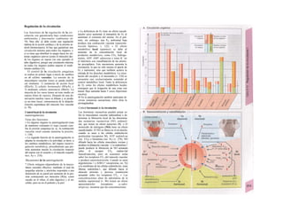 Regulación de Ia circulación
Las funciones de la regulación de la cir-
culación son garantizarla bajo condiciones
ambientales y funcionales cambiantes (M.
74). Para ello: a) debe existir una regulación
óptima de la acción cardíaca y de la presión ar-
terial (homeostasis); b) hay que garantizar una
circulación mínima para todos los órganos, y
c) se tiene que distribuir la sangre hacia los sis-
temas orgánicos activos (como el músculo) des-
de los órganos en reposo (en este ejemplo el
tubo digestivo), porque una circulación máxima
en todos los órganos podría superar el rendi-
miento cardíaco (A).
El control de la circulación sanguínea
se realiza en primer lugar a través de cambios
en el calibre vascular. La tensión de la
musculatura vascular (tono) se puede modifi-
car mediante: 1) sustancias de acción local
(B2a/b); 2) señales hormonales (B3a/b), y
3) mediante señales neurona/es (Bla/b). La
mayoría de los vasos tienen un tono medio en
reposo (fono de reposo). Después de una de-
nervación muchos vasos se dilatan y se produ-
ce un tono basal, consecuencia de la despola-
rización espontánea del músculo liso vascular
(v. 70).
Control local de Ia circulación
(autorregulación)
Tiene dos funciones:
» En algunos órganos la autorregulación trata
de mantener constante el riego cuando cam-
bia Ia presión sanguínea (p. ej., Ia contracción
vascular renal cuando aumenta la presión;
v. 150).
» La segunda función de la autorregulación es
adaptar la circulación a la actividad, es decir, a
los cambios metabólicos, del órgano (autorre-
gulación metabólica), procedimiento que per-
mite aumentar mucho la circulación respecto
del reposo (en el corazón y el músculo esquelé-
tico; Ay v. 210).
Mecanismos de Ia autorregulación
* Efecto miógeno (dependiente de la muscu-
latura vascular) (Bayliss), mediante el cual las
pequeñas arterias y arteriolas responden a una
distensión de su pared por aumento de la pre-
sión contrayendo sus músculos (B2a), como
sucede en el riñon, el tubo digestivo y el en-
céfalo, pero no en el pulmón y la piel.
» La deficiencia de O2 tiene un efecto uasodi-
latador para aumentar el transporte de O2 al
aumentar el consumo del mismo. En el pul-
món, sin embargo, una P02 ambiental baja
produce una contracción vascular (uasocons-
tricción hípóxica; v. 122). » El efecto
metabólico local (químico) se debe al
aumento de la concentración local de
productos metabó/icos, como CO2, hidroge-
niones, ADP, AMP, adenosina e iones K+
en
el intersticio con vasodilatación de las arterio-
las precapilares. Este mecanismo aumenta la
circulación, lo que no sólo mejora el aporte de
O2 y nutrientes, sino que también acelera la
retirada de los desechos metabólicos. La circu-
lación del encéfalo y el miocardio (v. 210) se
encuentra casi exclusivamente sometida al
control metabólico local. Tanto la deficiencia
de O2 como los efectos metabólicos locales
consiguen que la irrigación de una zona con
menor flujo aumente hasta 5 veces (hiperemia
reactiva).
Φ En la autorregulación también participan di-
versas sustancias uasoactiuas, entre otras la
prostaglandina.
Control hormonal de Ia circulación
Las hormonas vasoactivas pueden actuar so-
bre la musculatura vascular (adrenalina) o de-
terminar la liberación local de las denomina-
das sustancias vasoactivas (NO, endoteli-
na), que tienen un efecto paracrino (B). » El
monóxido de nitrógeno (NO) tiene un efecto
uasodi/atador. El NO se libera en el en-dotelio,
cuando se unen a las células endotelia-les
acetiícoíina (receptores M), ATf! endoteli-na
(rec. ETB) o hisíamina (rec. H1) (v. 278). NO
difunde hacia las células musculares vecinas y
produce la dilatación vascular. » La endotelina 1
puede producir la liberación de NO actuando
sobre el receptor ETB endote-lial
fuasodi/ataciónj, pero en ocasiones actúa
sobre los receptores ETA del músculo vascular
y produce uasoconstricción. Cuando se unen
angiotensina // o ADH (= vasopresina; rec. Vj)
a la membrana de las células endotelia-les, éstas
liberan endotelina-1, que difunde hacia el
músculo próximo y provoca constricción
actuando sobre los receptores ETA. » Las
concentraciones altas de adrenalina de la
médula suprarrenal (v. 86) tienen un efecto
uasoconstricfor (receptores a¡-adre-
nérgicos), mientras que las concentraciones
 